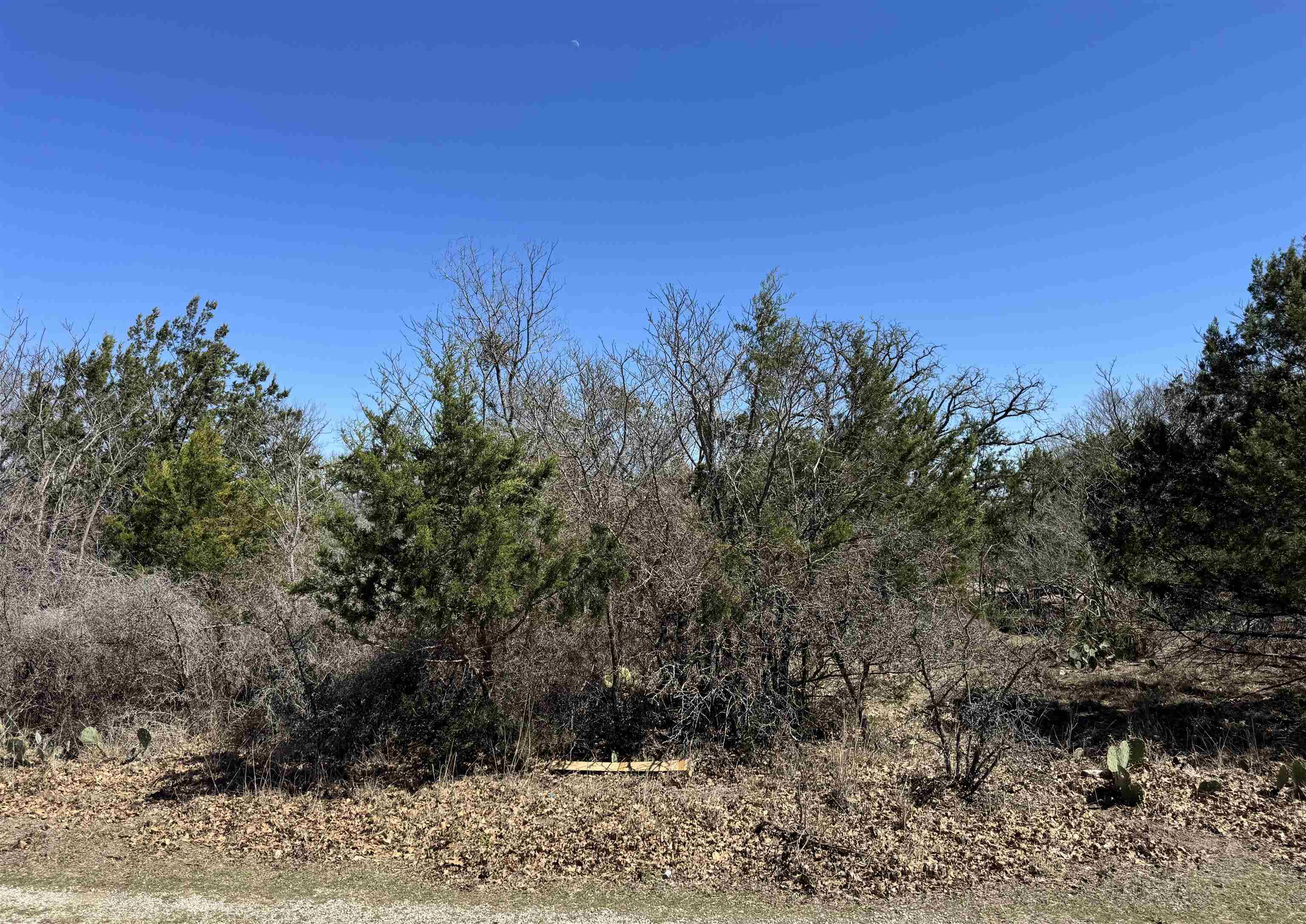 Lot 218 Western, Kingsland