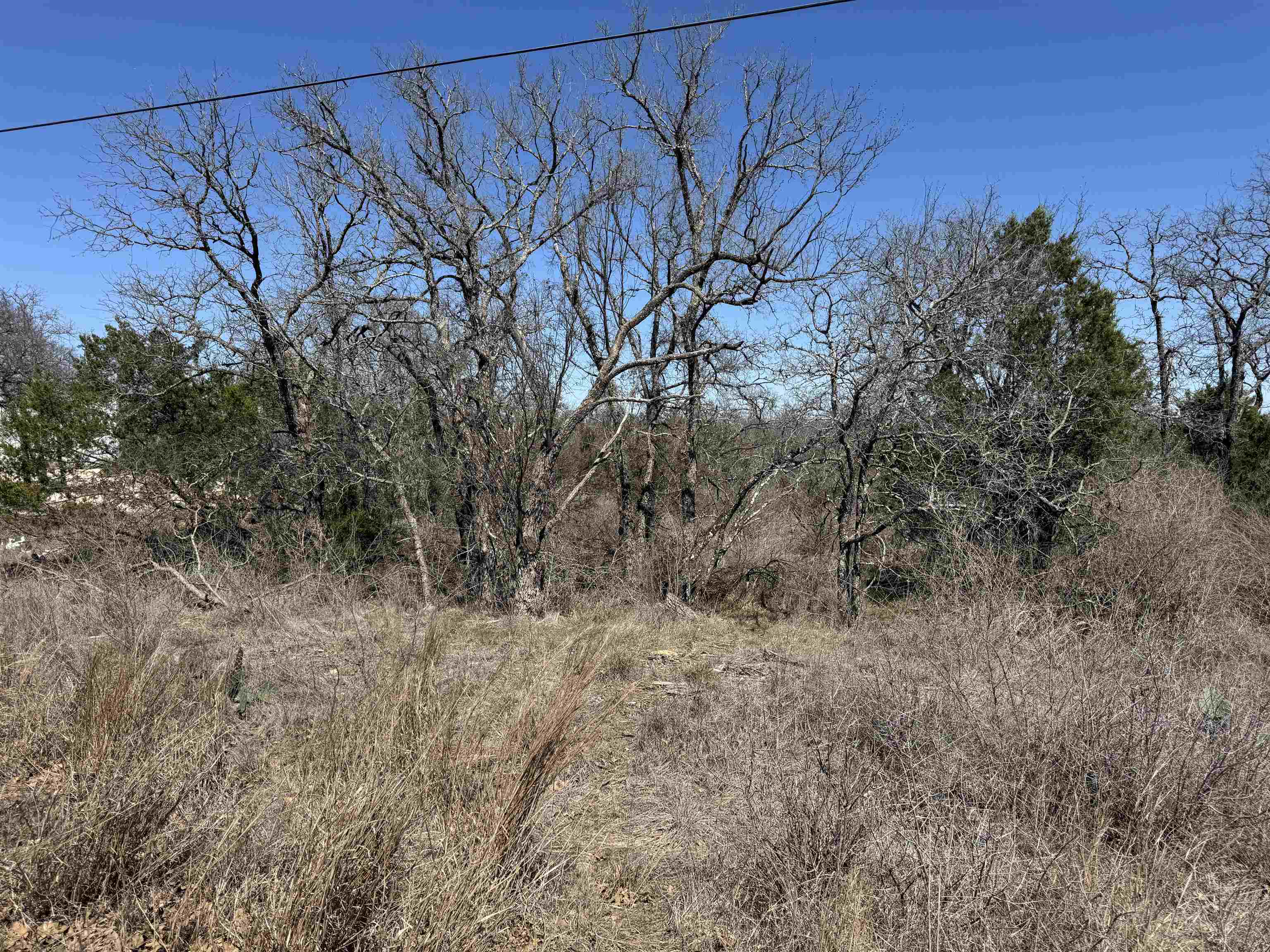 Lot 180 Longmont, Kingsland