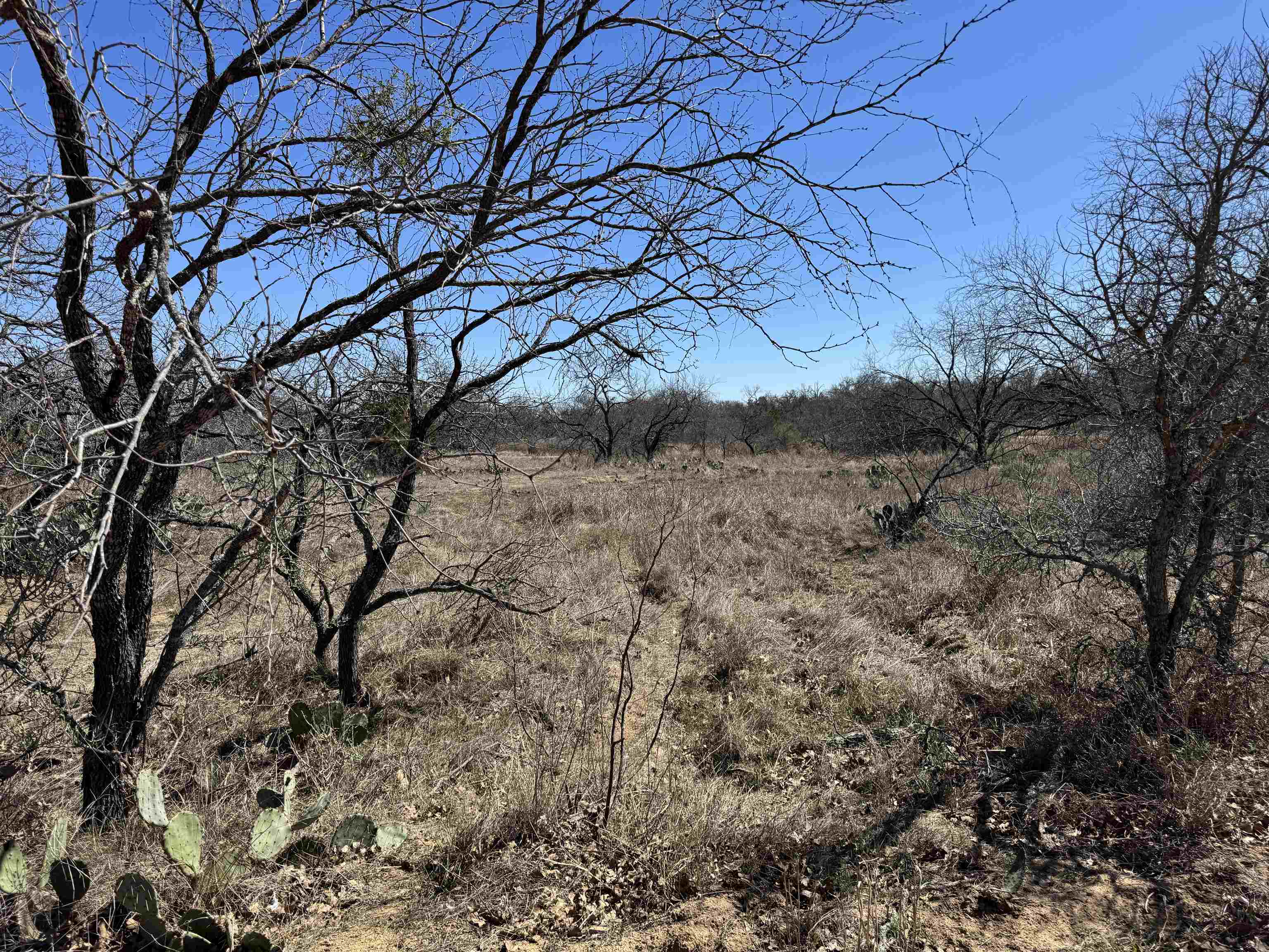 Lot 128 Brent, Kingsland