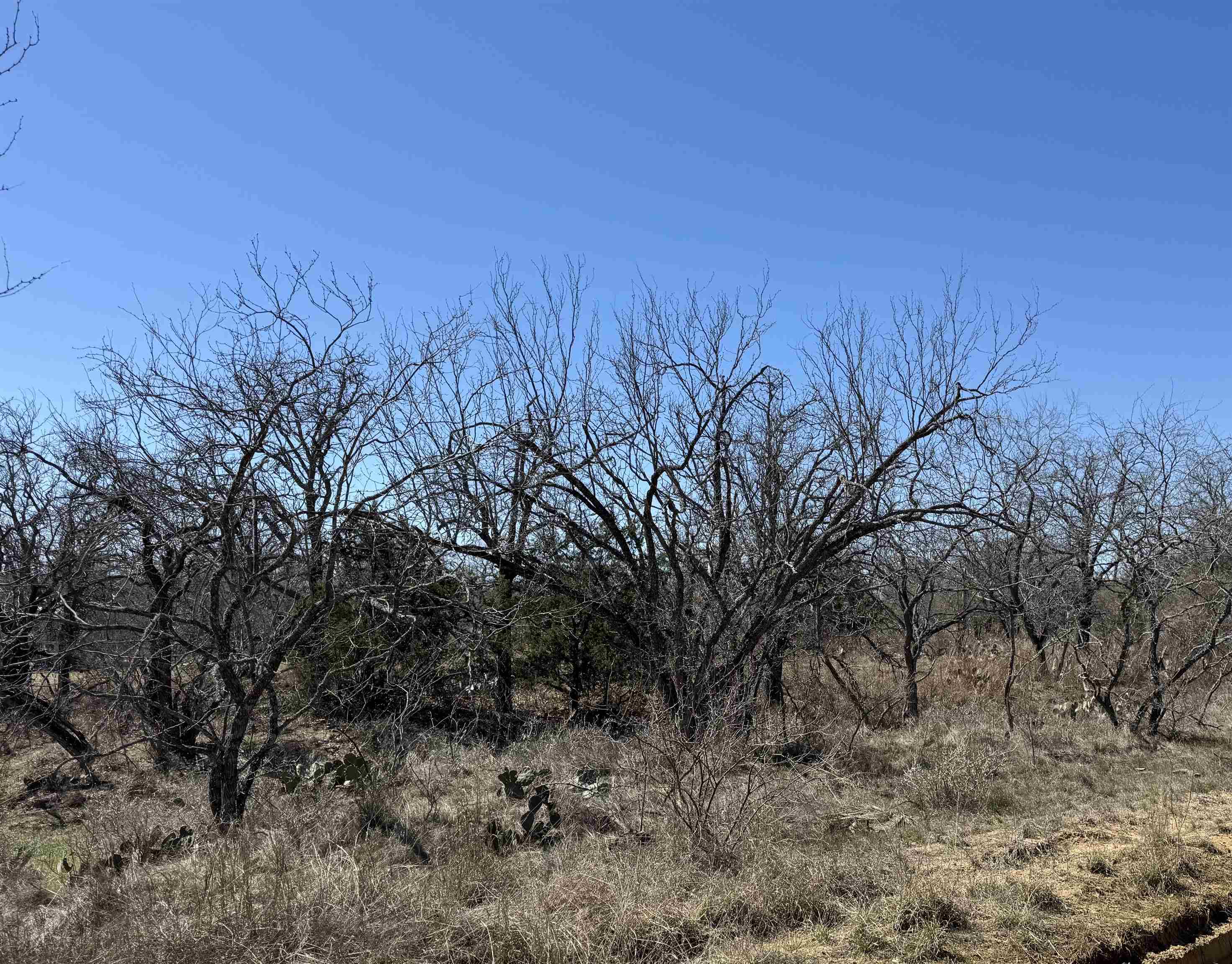 Lot 102 Ridgemont, Kingsland
