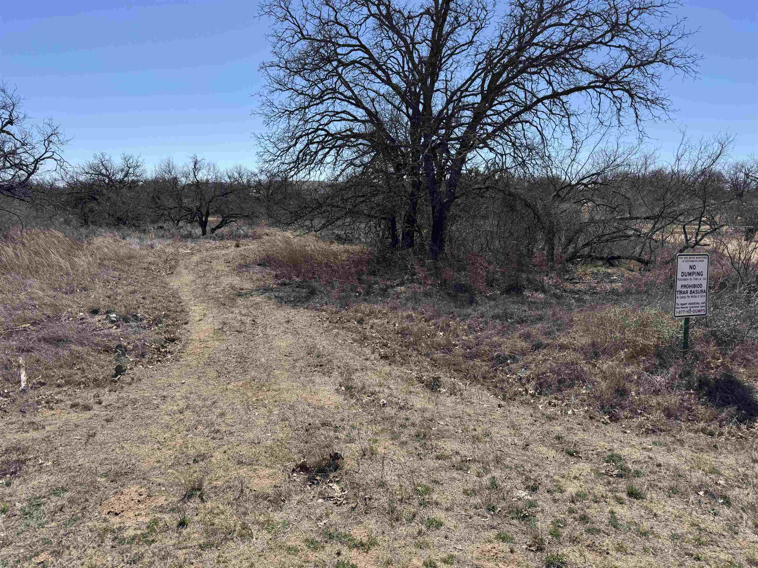 Lot 103 Ridgemont, Kingsland