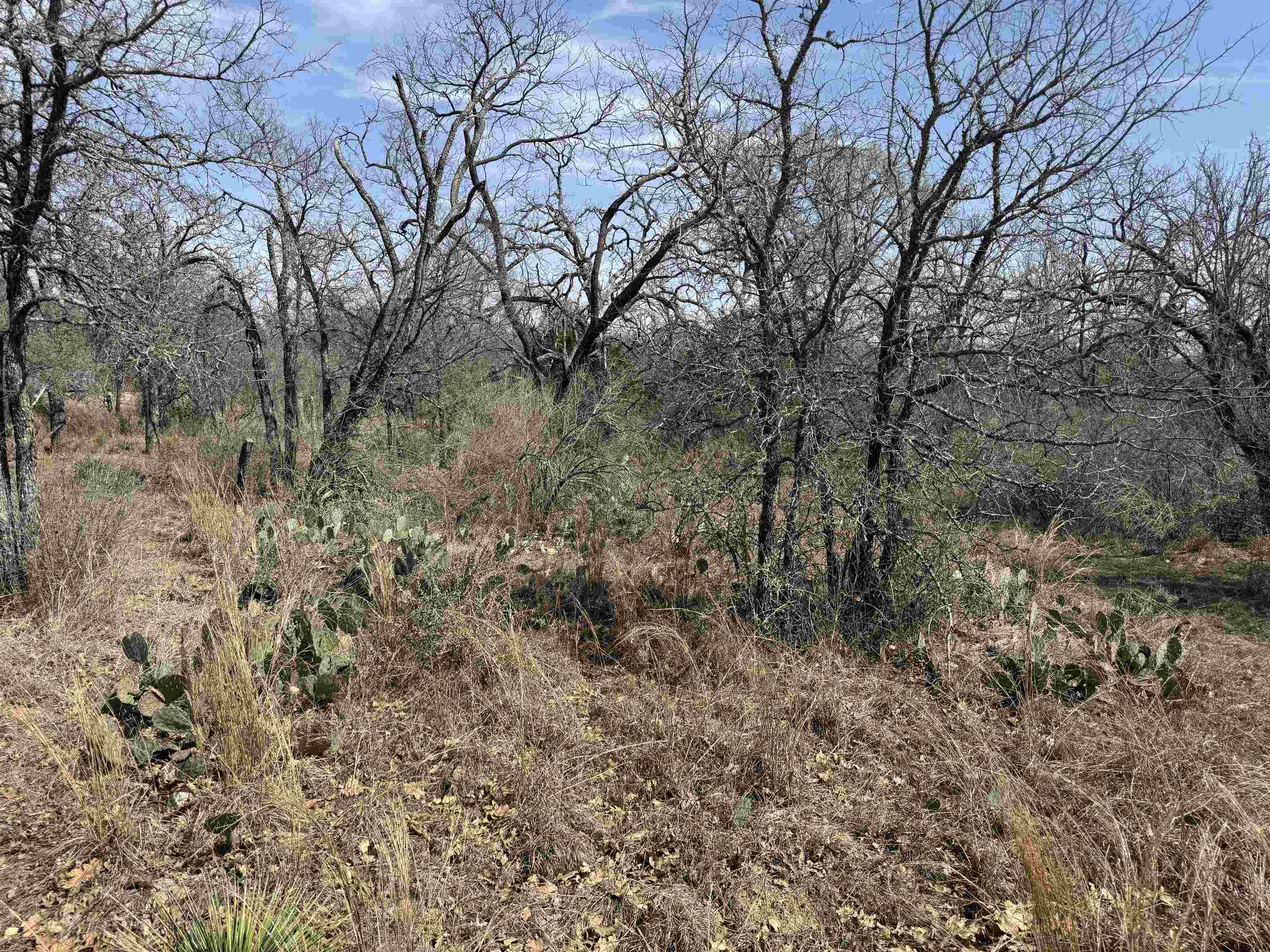 Lot 300-304 Link/Pinemont, Kingsland