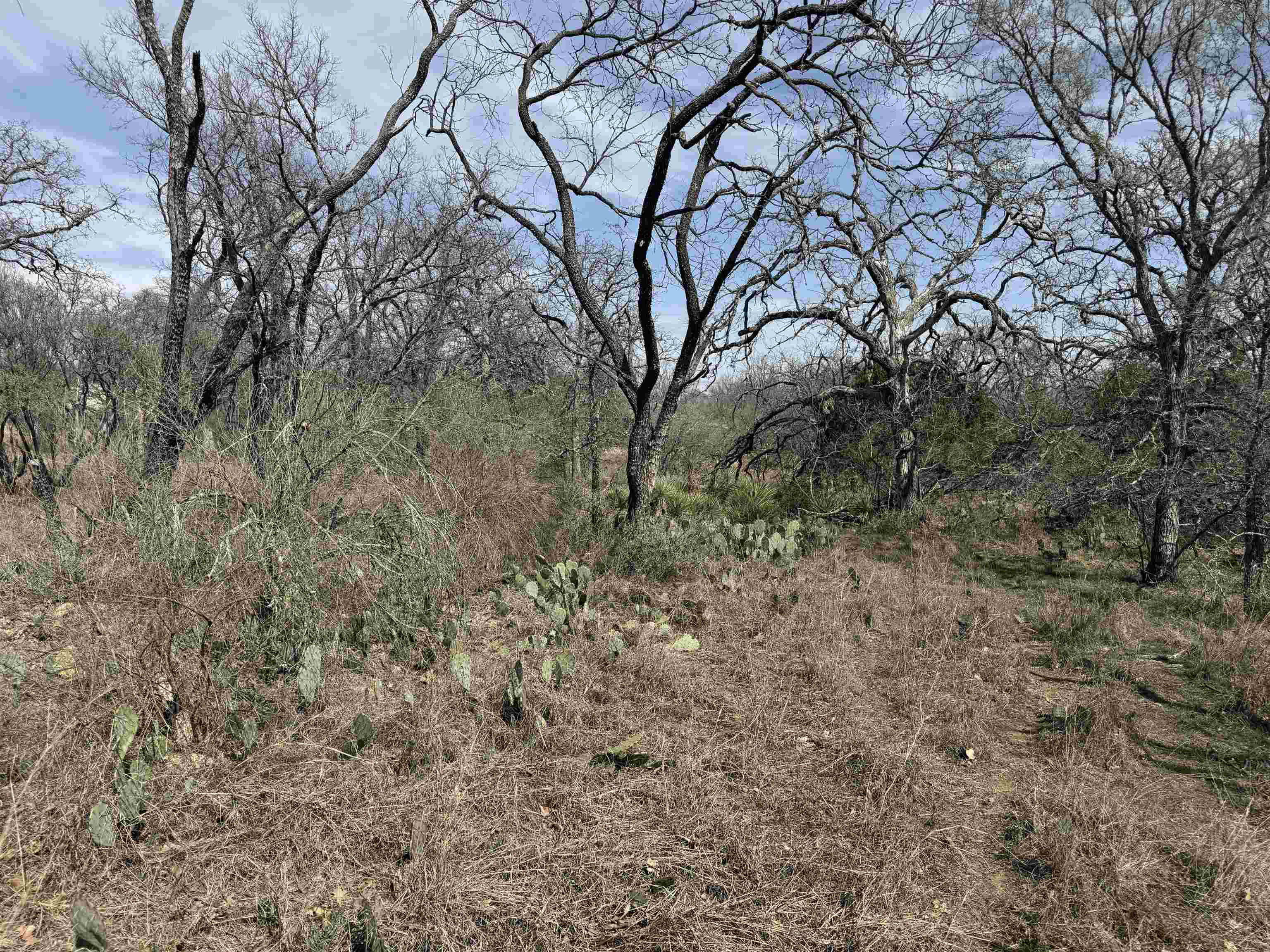 Lot 294 Pinemont, Kingsland
