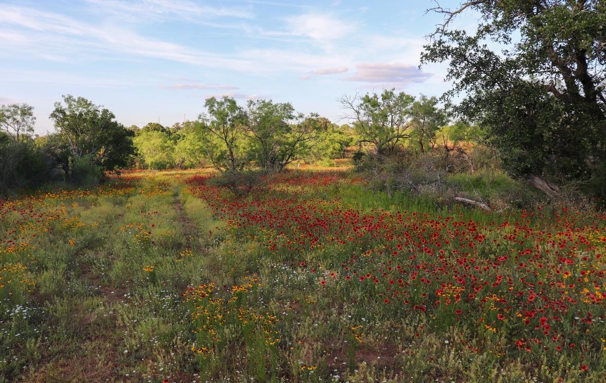 16200 Ranch Road 152, Llano
