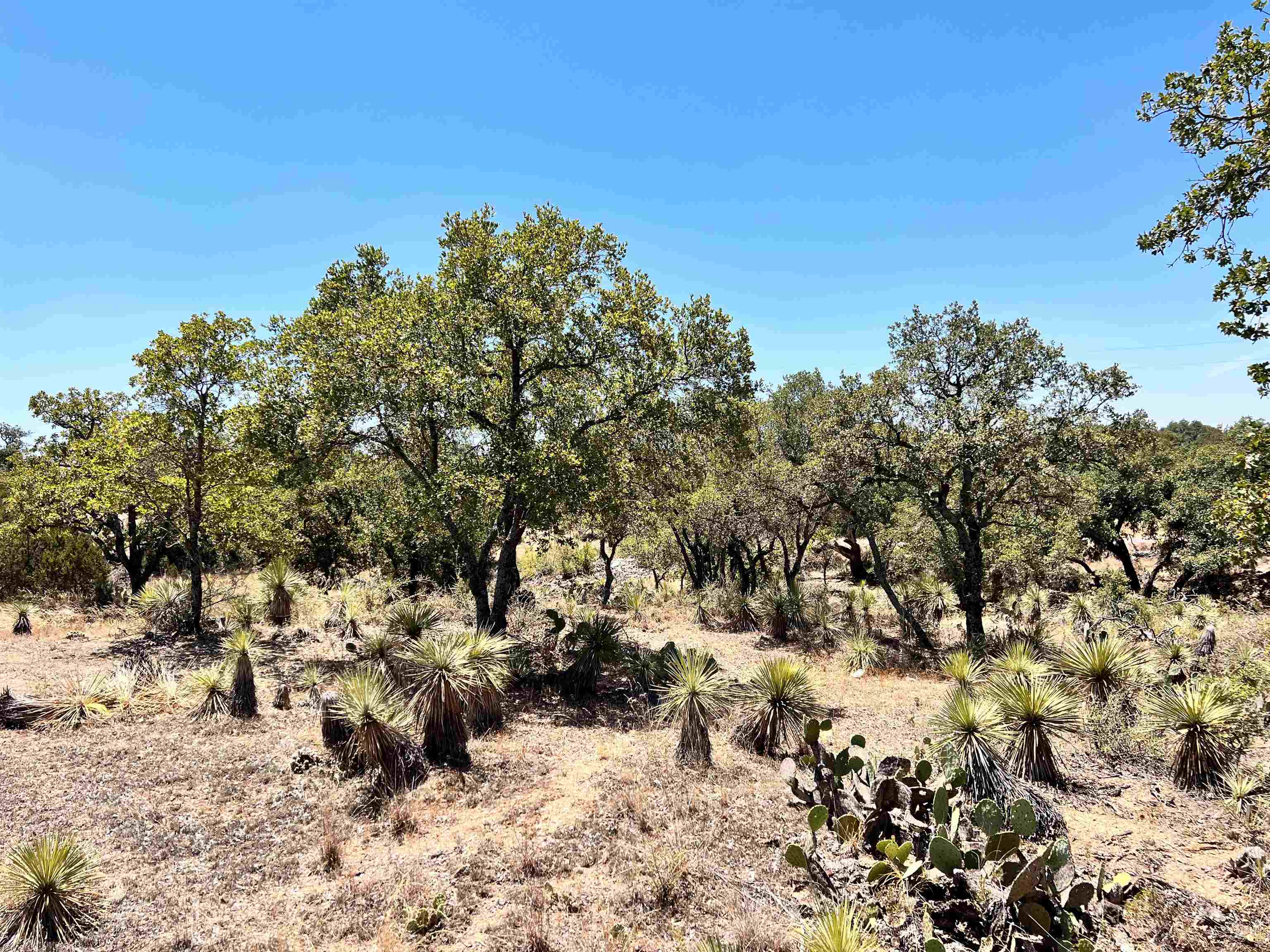 S4970 Greencastle (Sherwood Shores) Lot 321