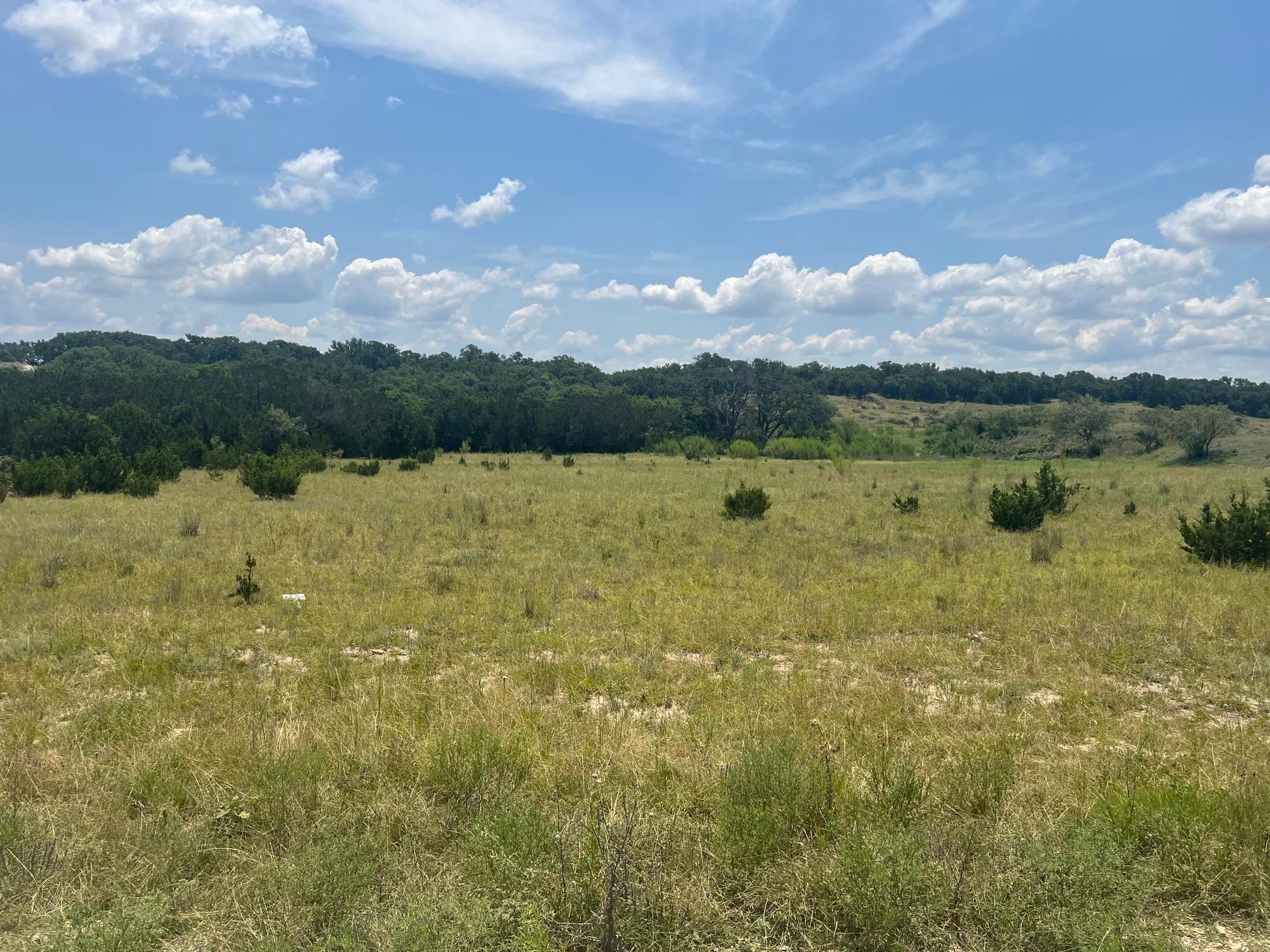 S3955 CROSS TIMBER RANCH LOT 64 BLK C 5.04