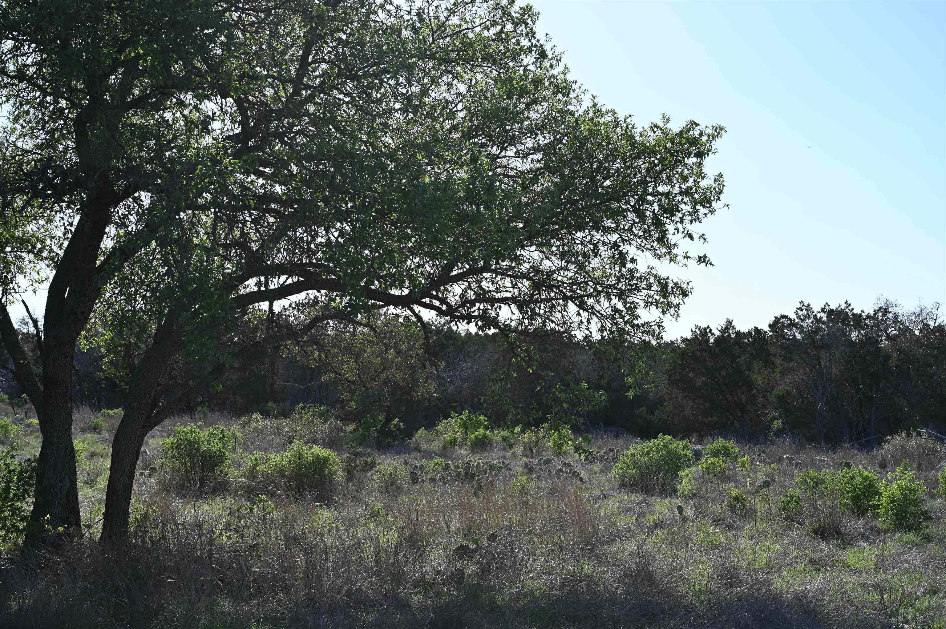 Lot 11 Crown Ln, Burnet