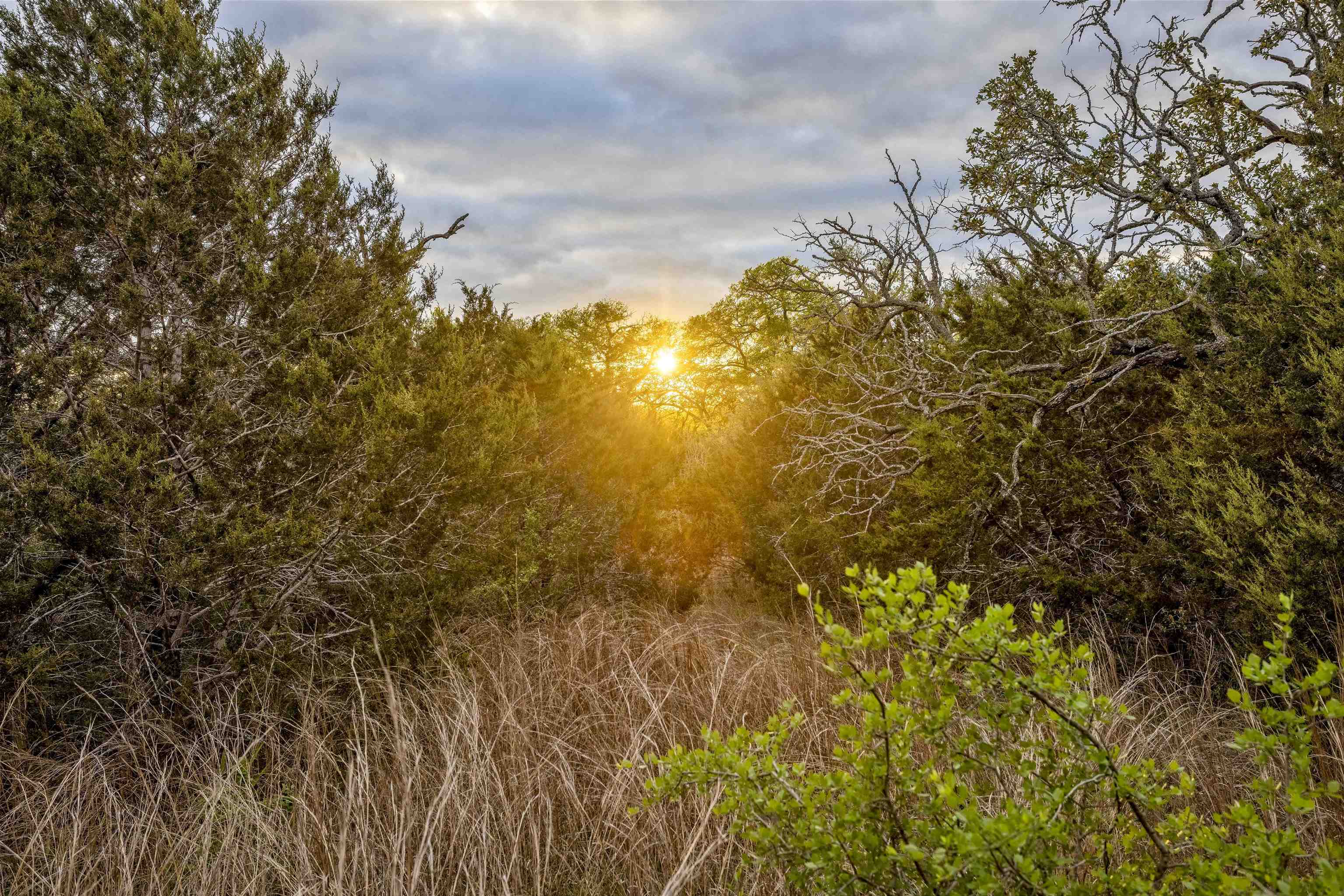 ABS A1564 H.J. SCHULTZ, 14.03 ACRES