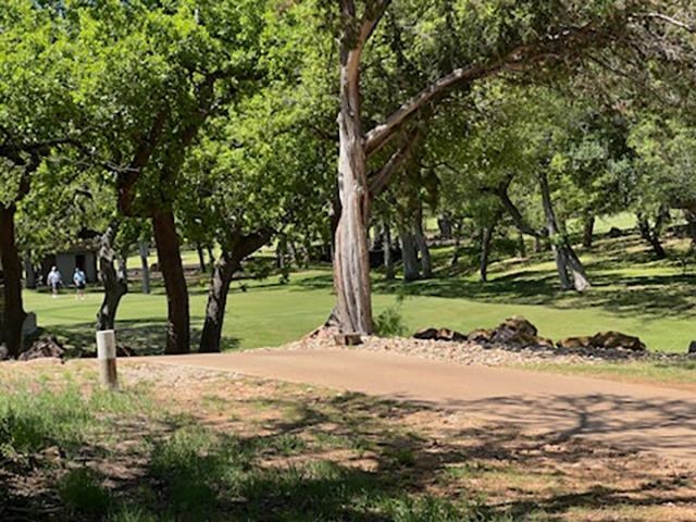 Lot W1125 Blister Gold
