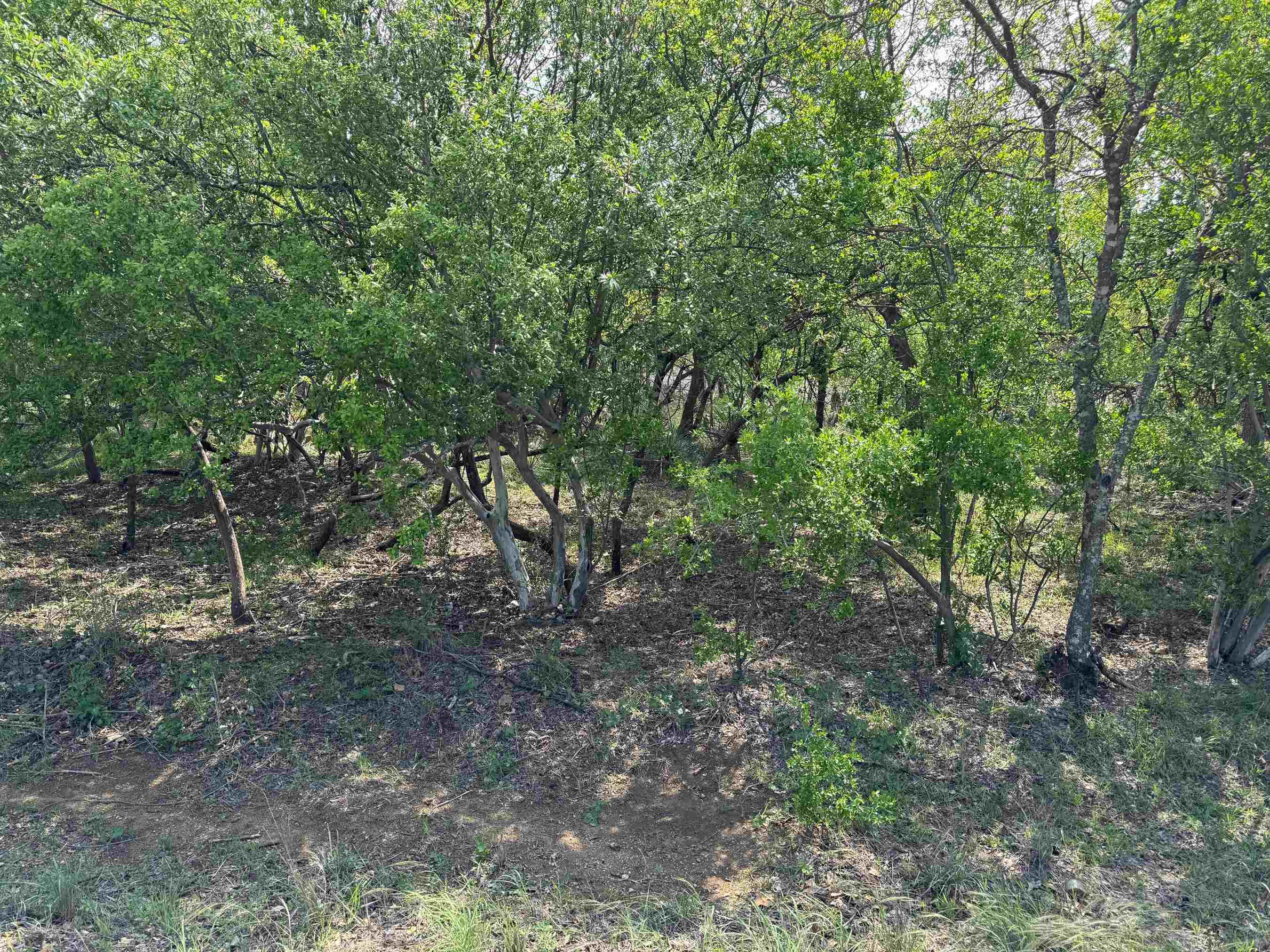 Lots 58 & 59 Castleshoals, Granite Shoals