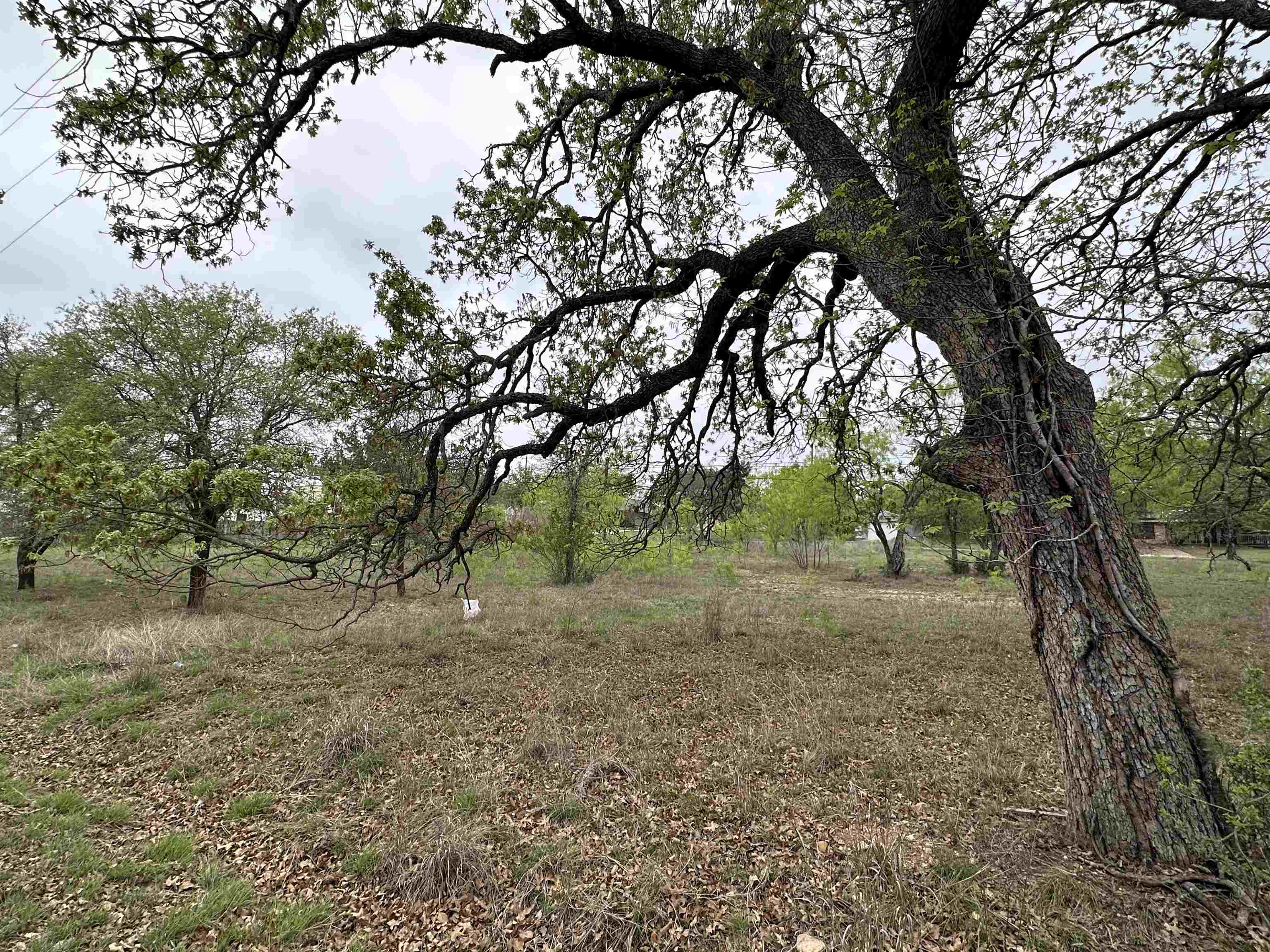 Scarlet Oaks Lots 159, 160, 161