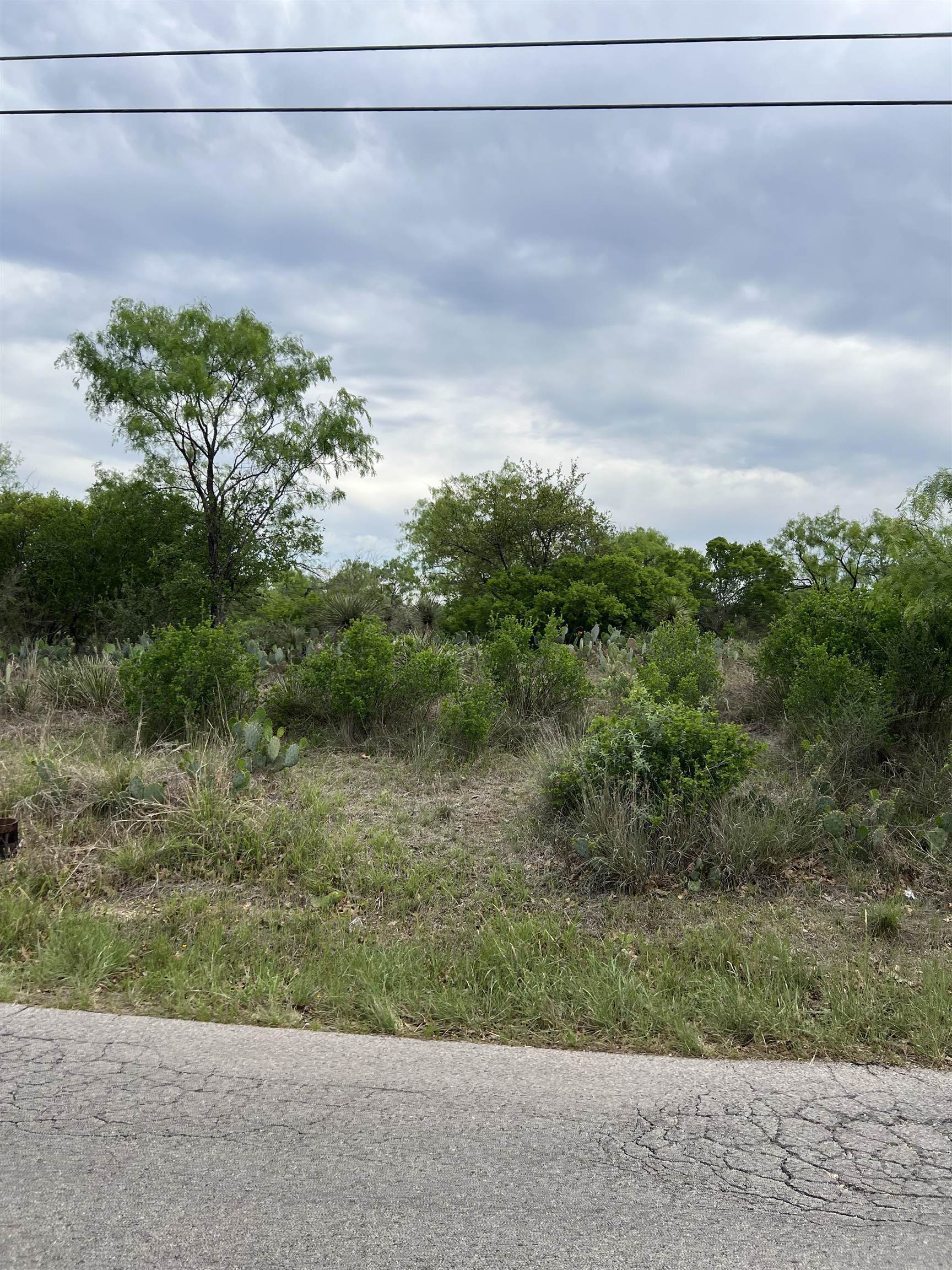 LIVE OAK LOT 18