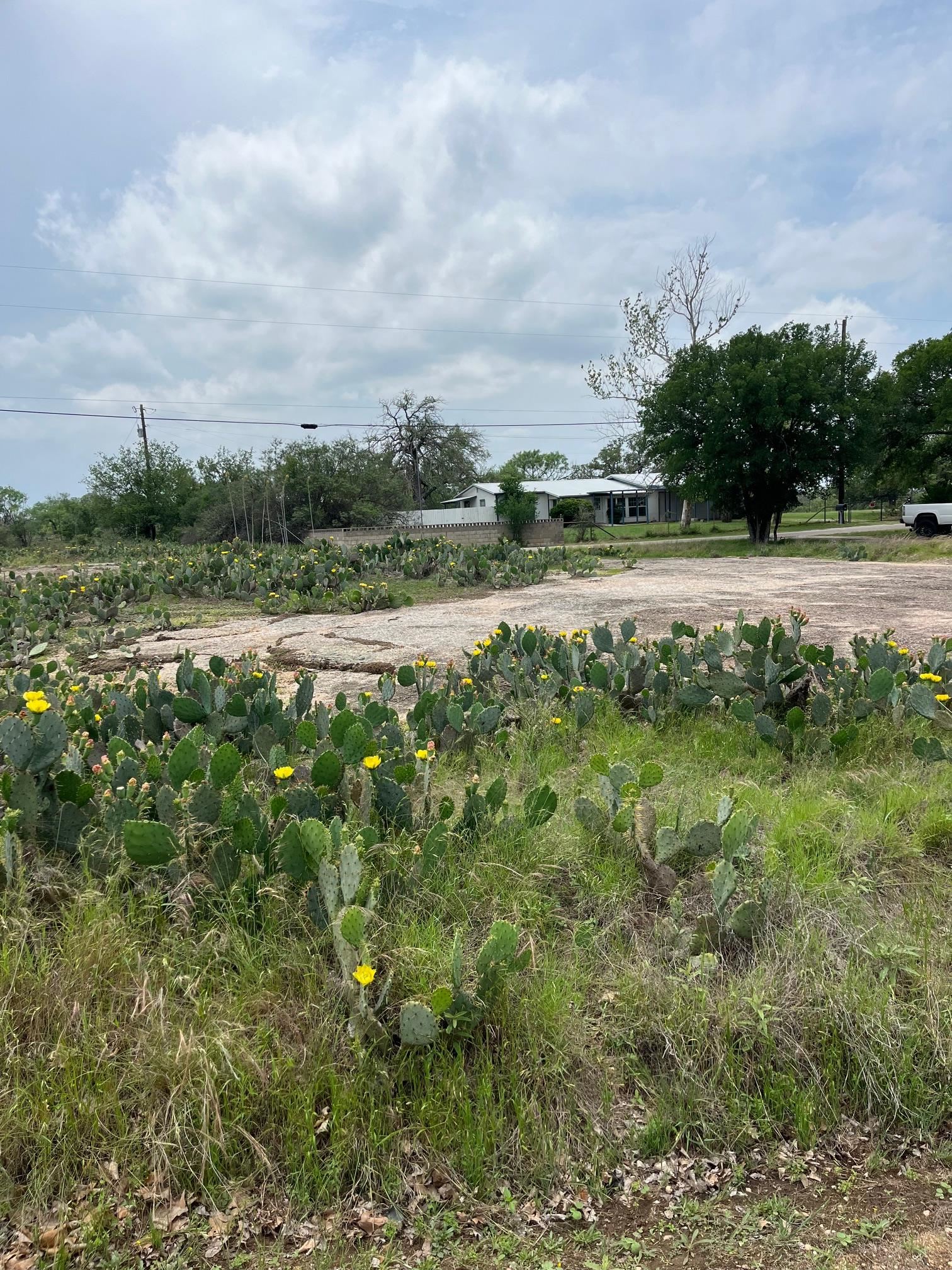 S6010 LIVE OAK LOT 636, 637, 640
