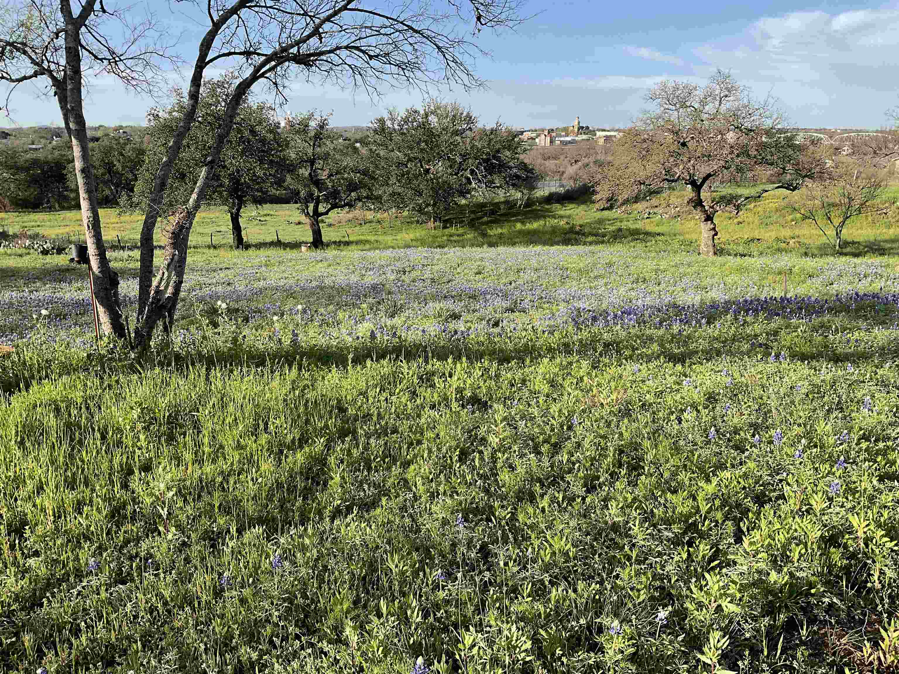 Tarrant, Llano