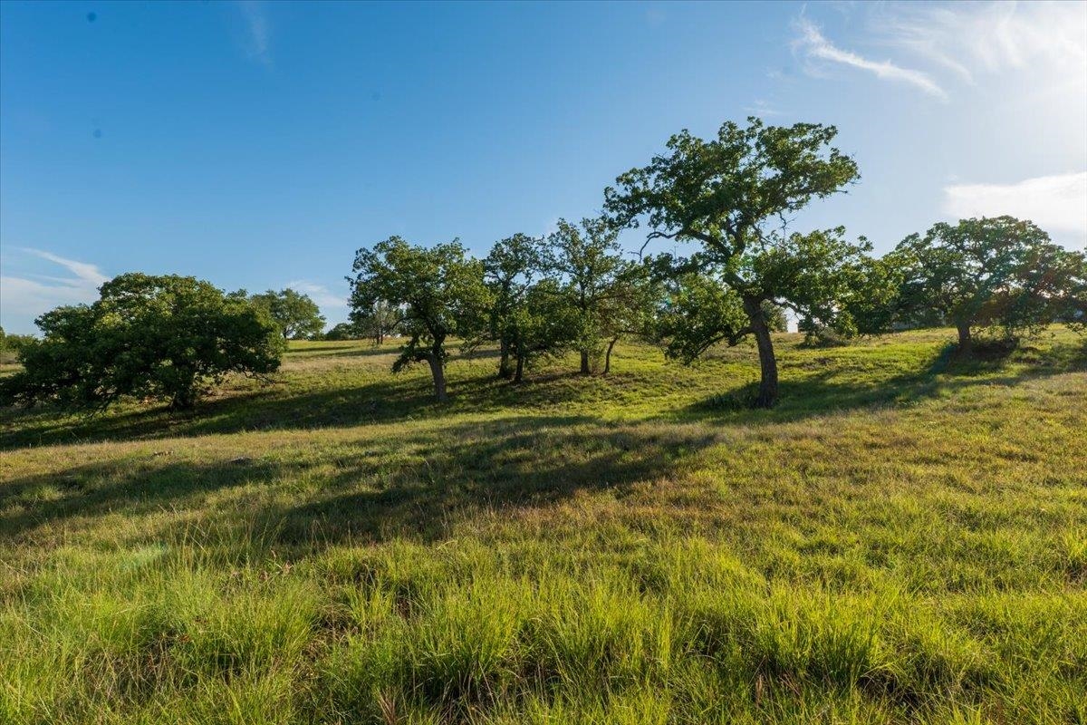 Horseshoe Bat West Lt W549