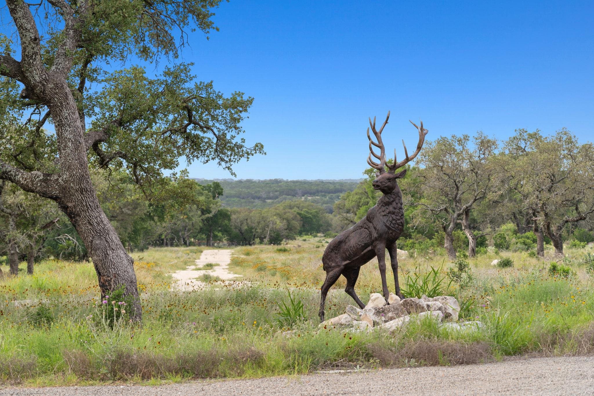 0000 County Road 1287, Lampasas