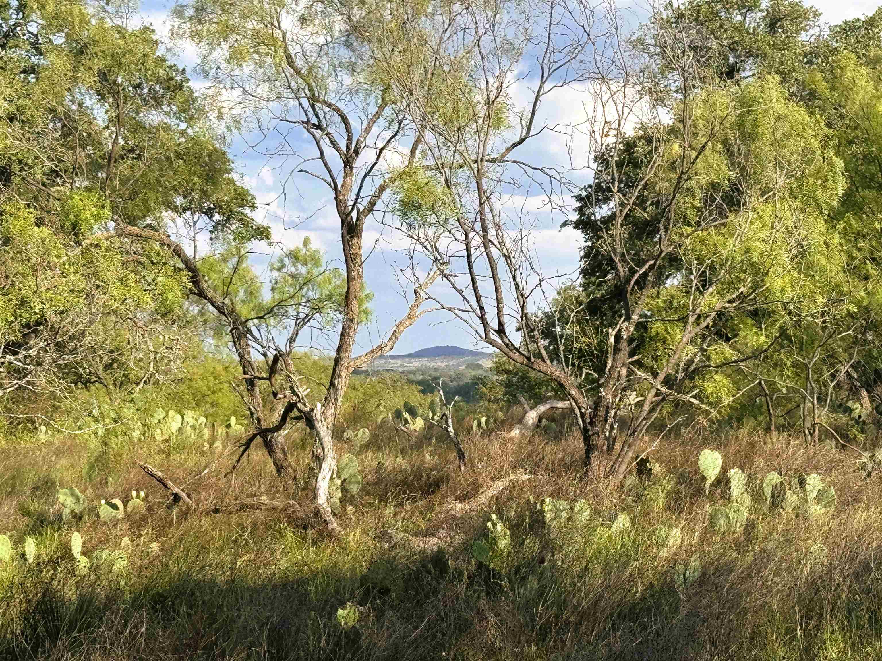 3072x2304