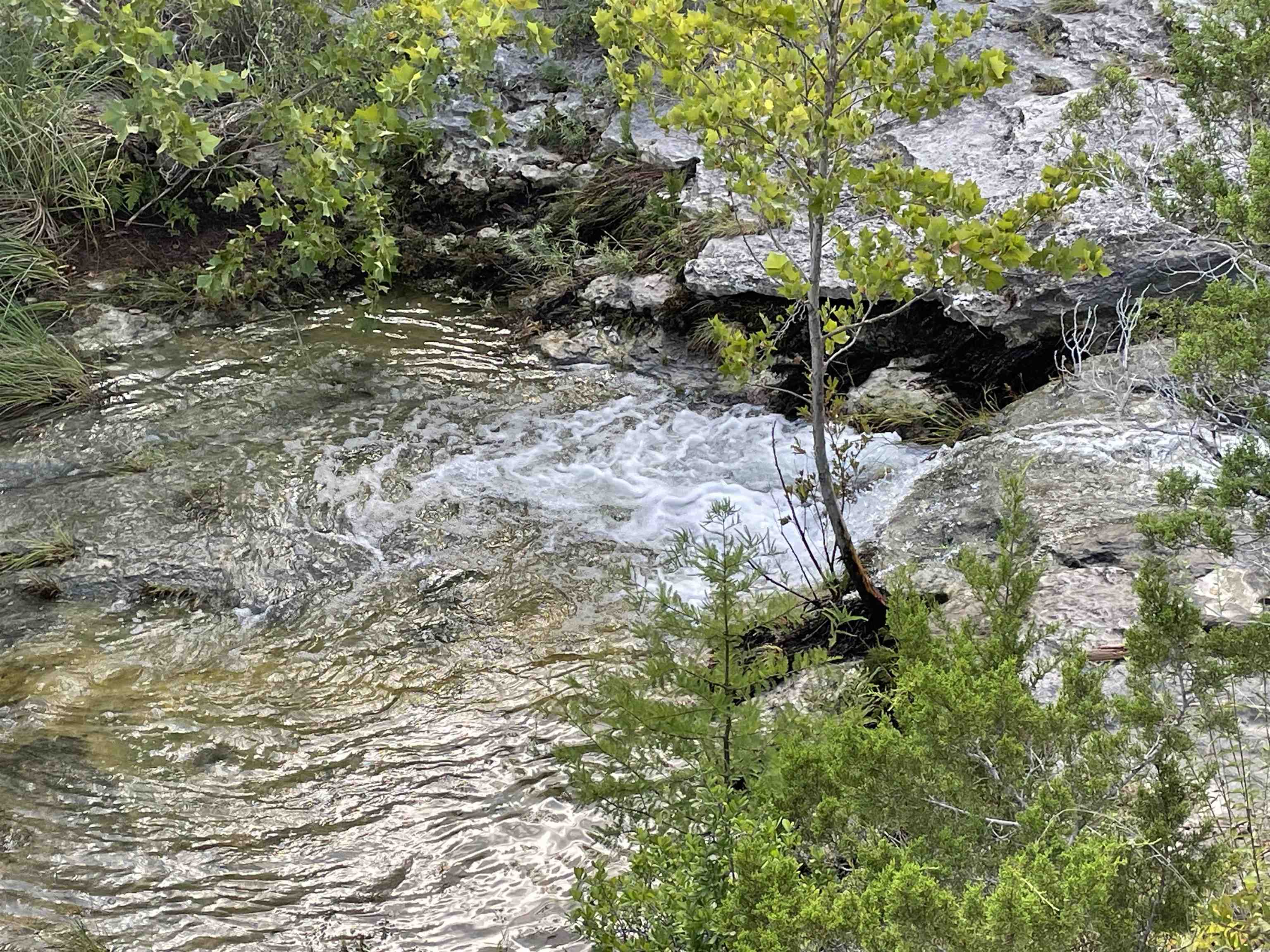 Lot 31, Lick Creek Ranch Subd, Phs 2, Sec 01