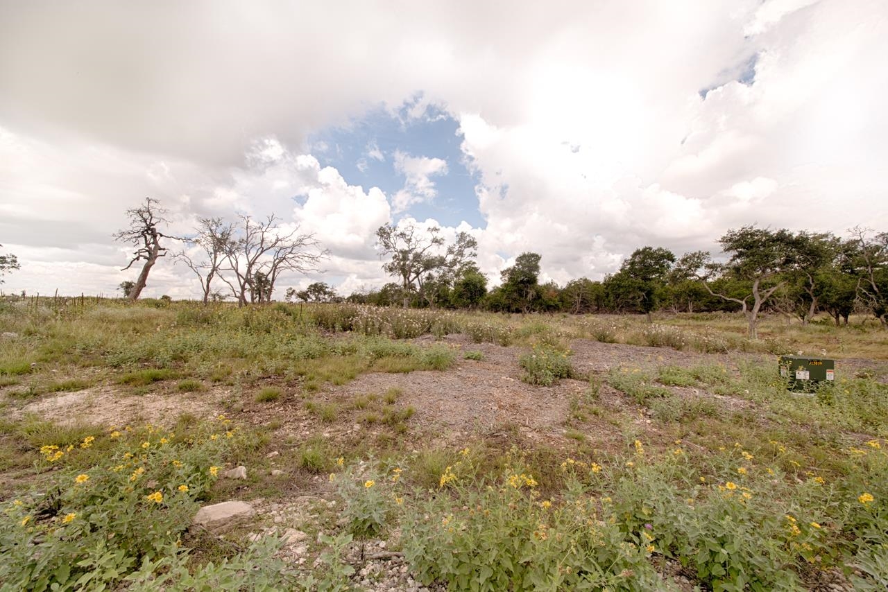 Lot 28 Stallion, Harper