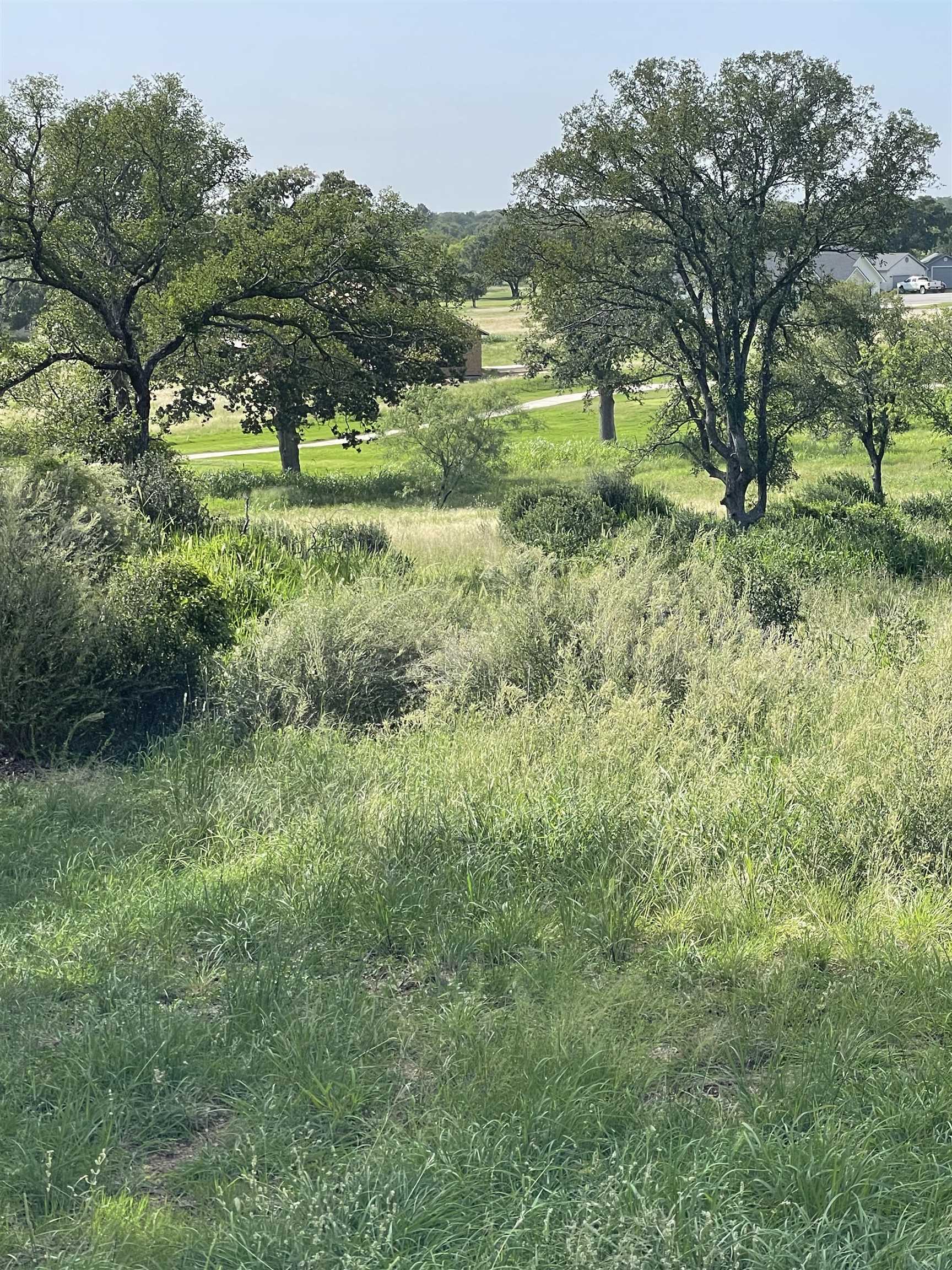 UNK Skyview, Kingsland