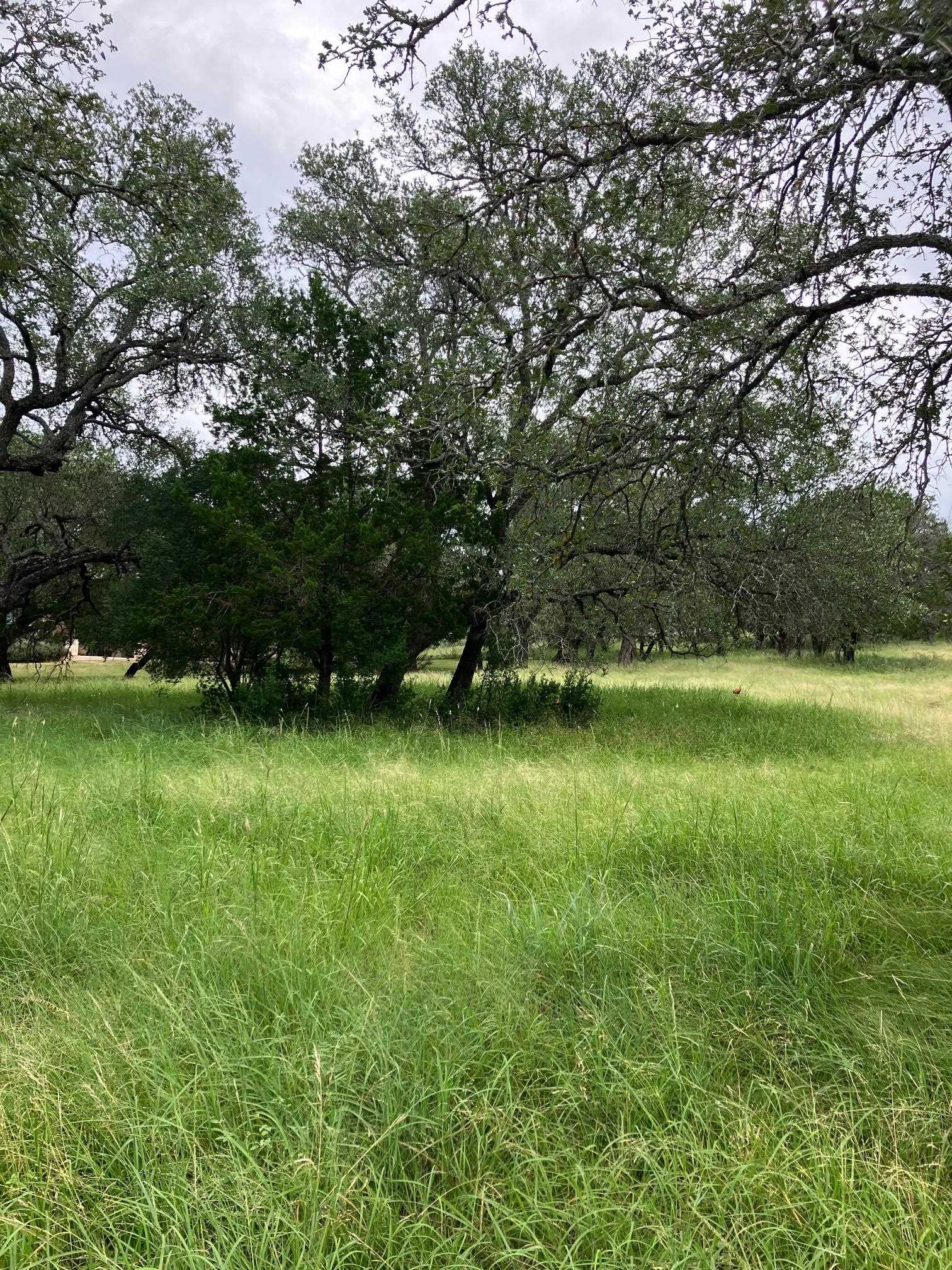 W35093 Lost Nugget, Horseshoe Bay