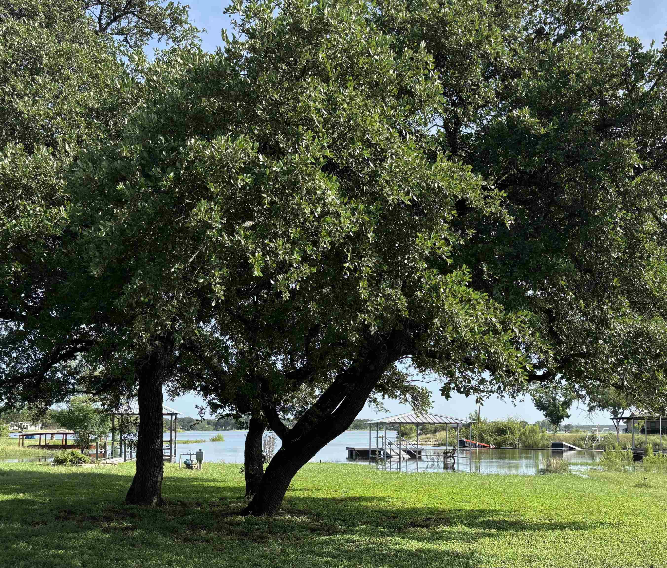 207 Striper Haven, Buchanan Dam