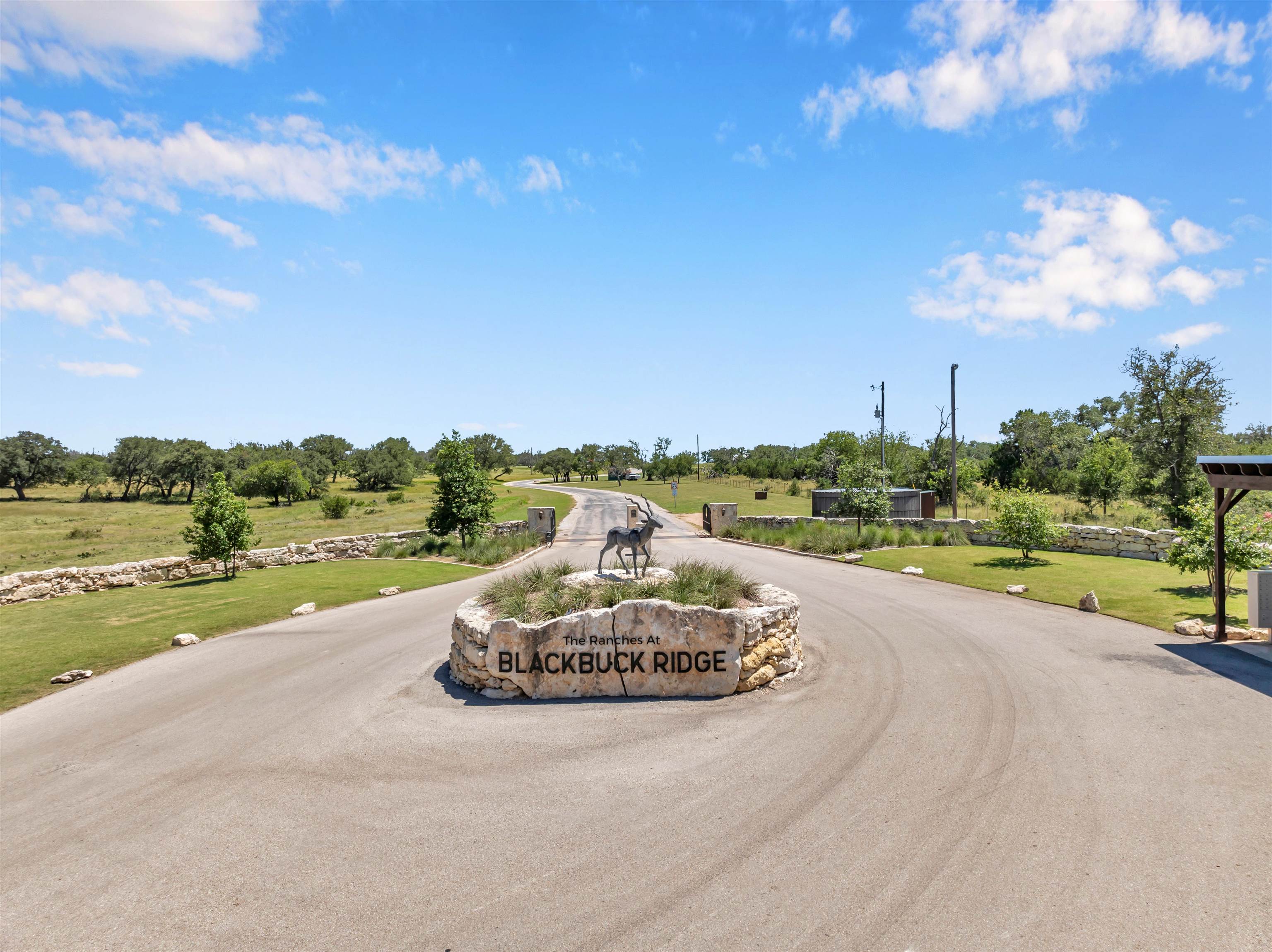 Lot 90 Blackbuck Ridge, Lampasas