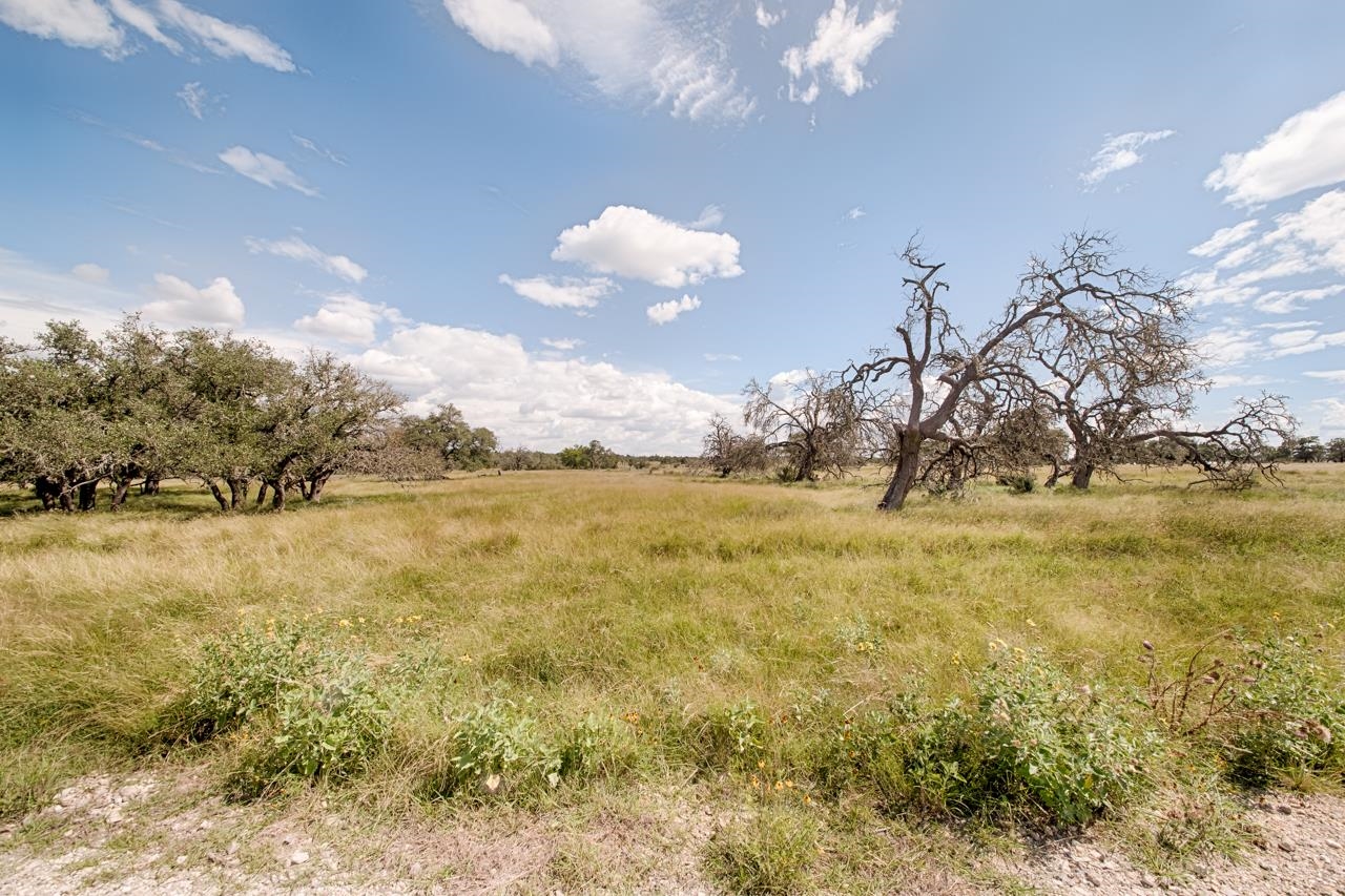 Lot 121 Fallow, Harper