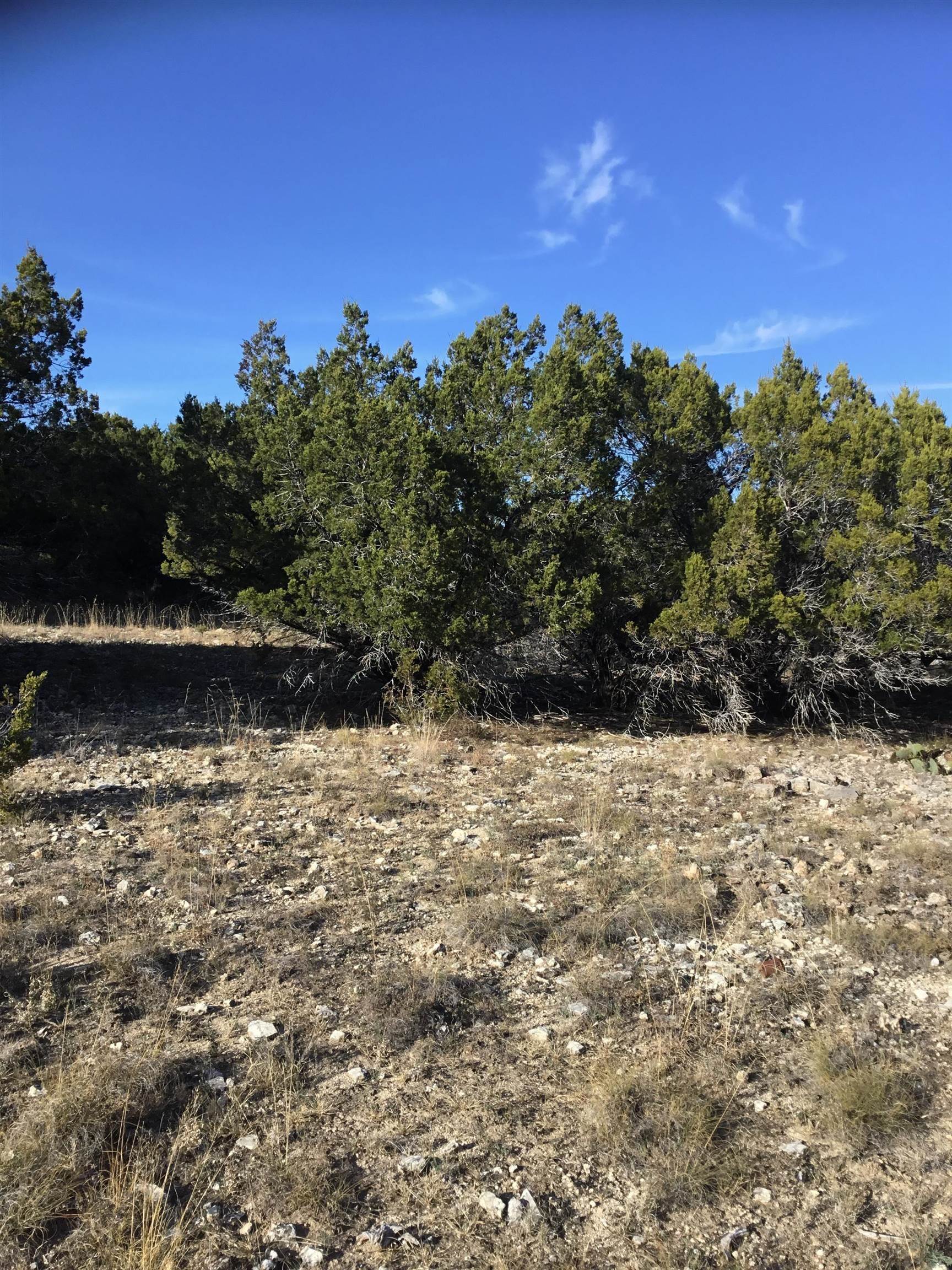 2502 Hancock, Lago Vista