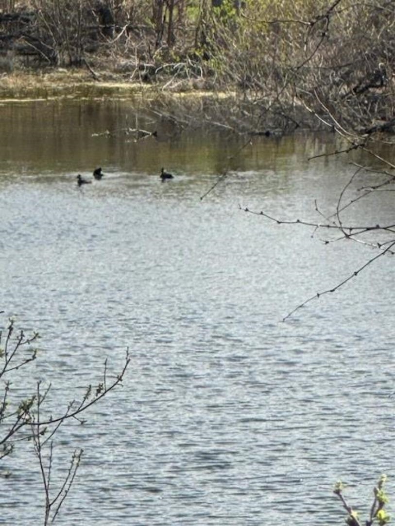 Lot K8023 Dew Drop, Horseshoe Bay