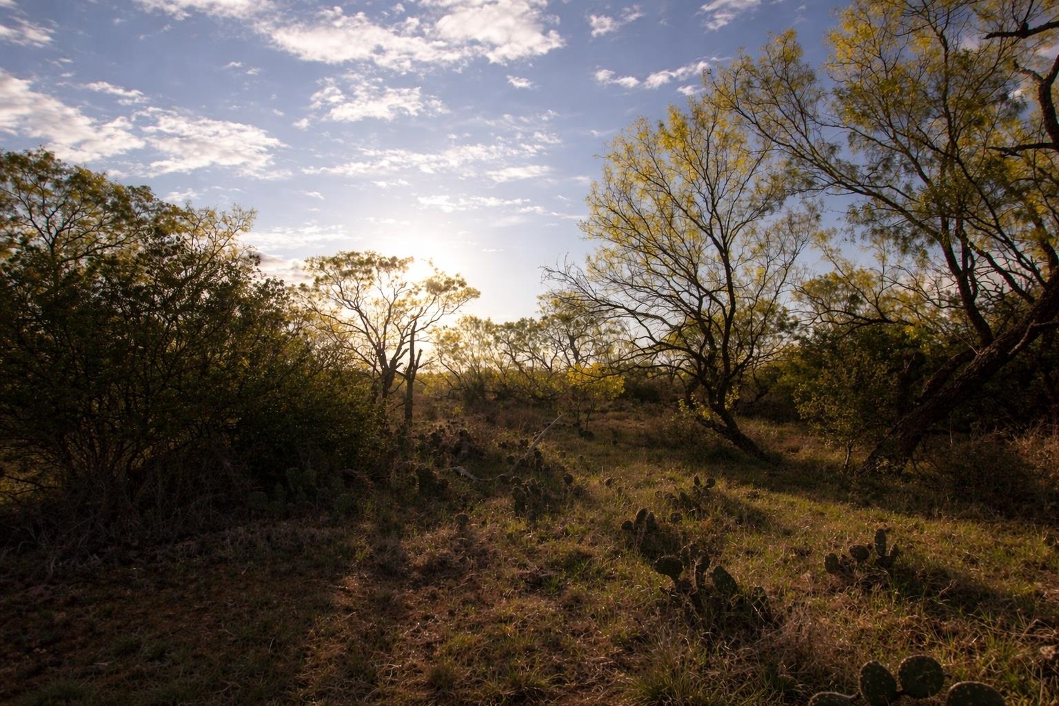 1536x1024