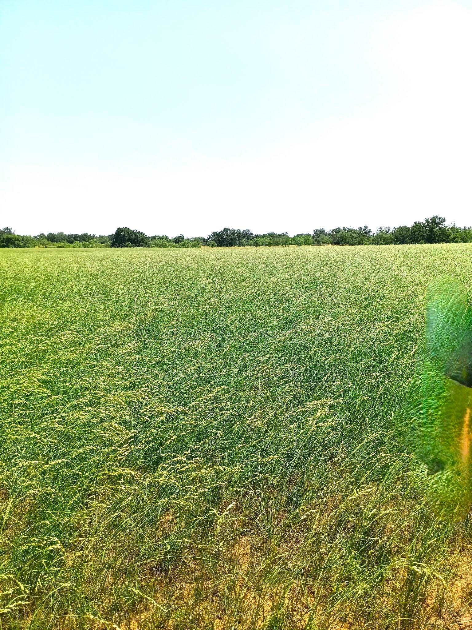 1536x2048