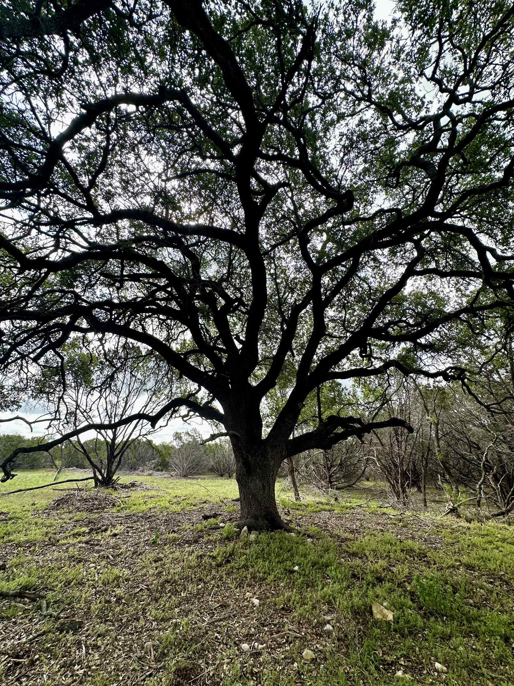 1728x2304