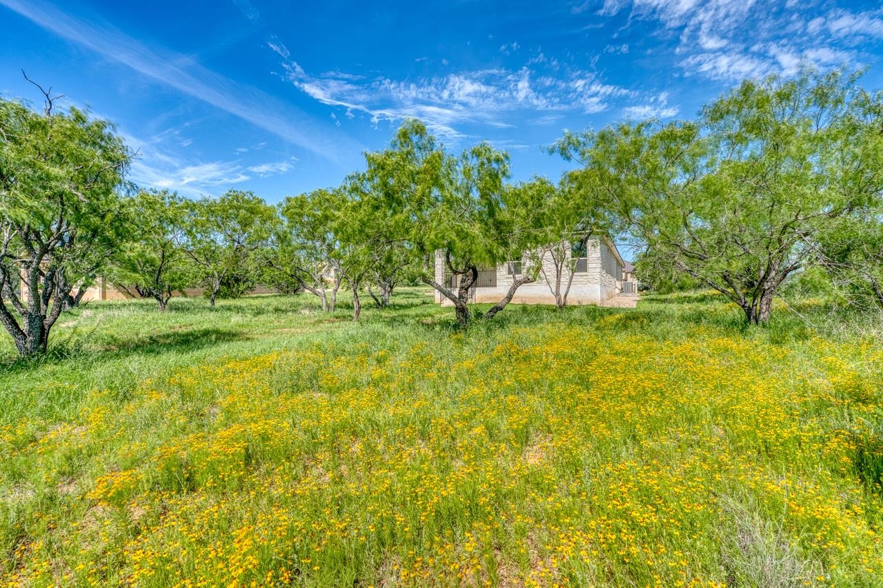 1280x853