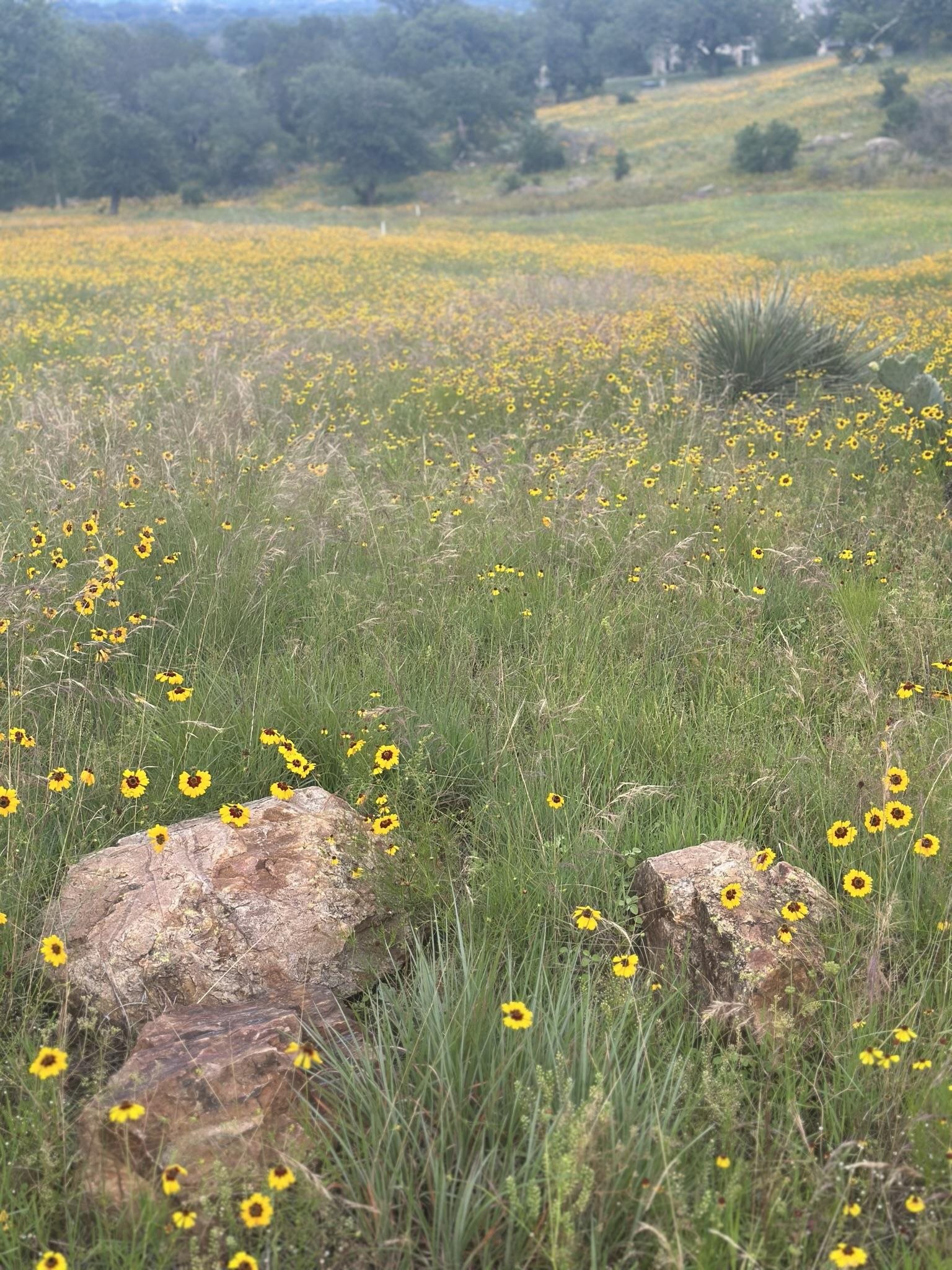 1536x2048
