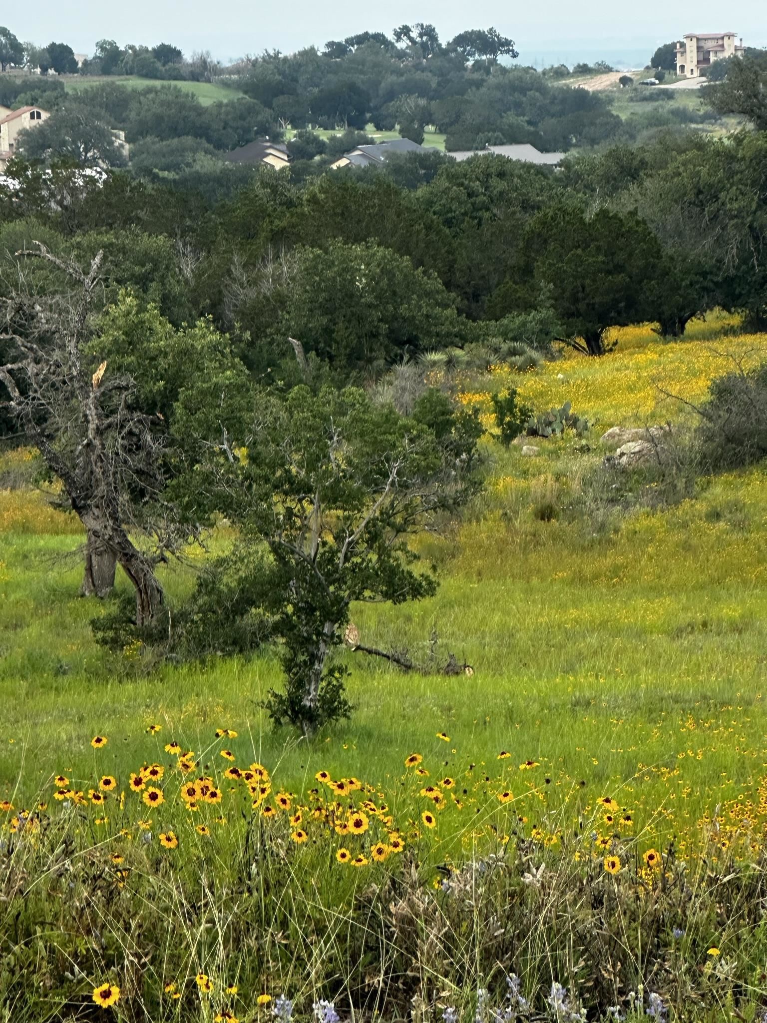 1536x2048