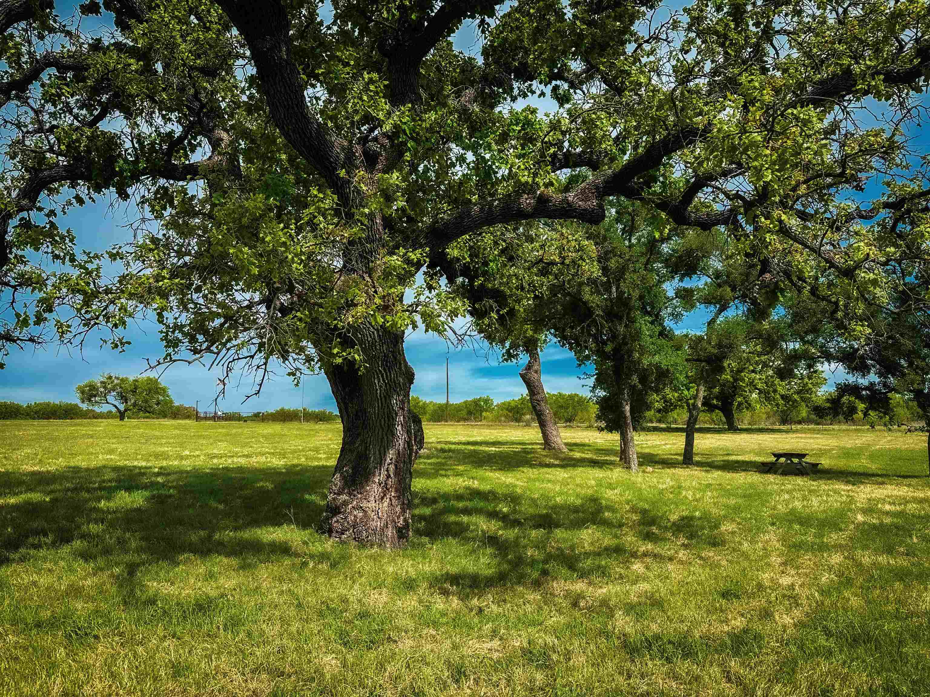 3072x2304