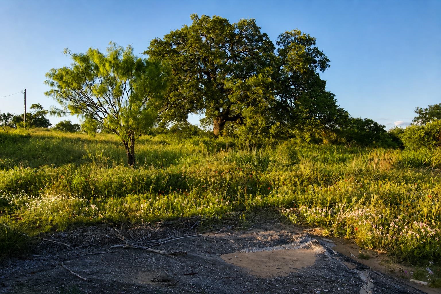 1536x1024
