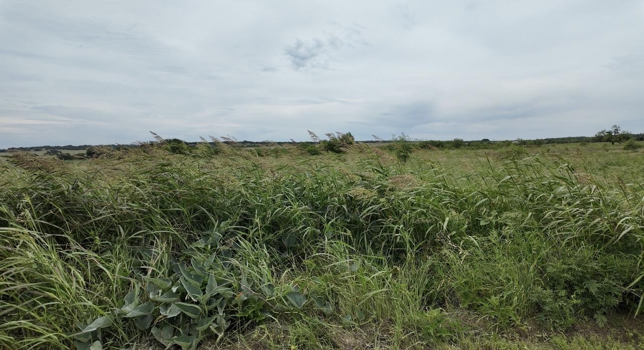 1282x697