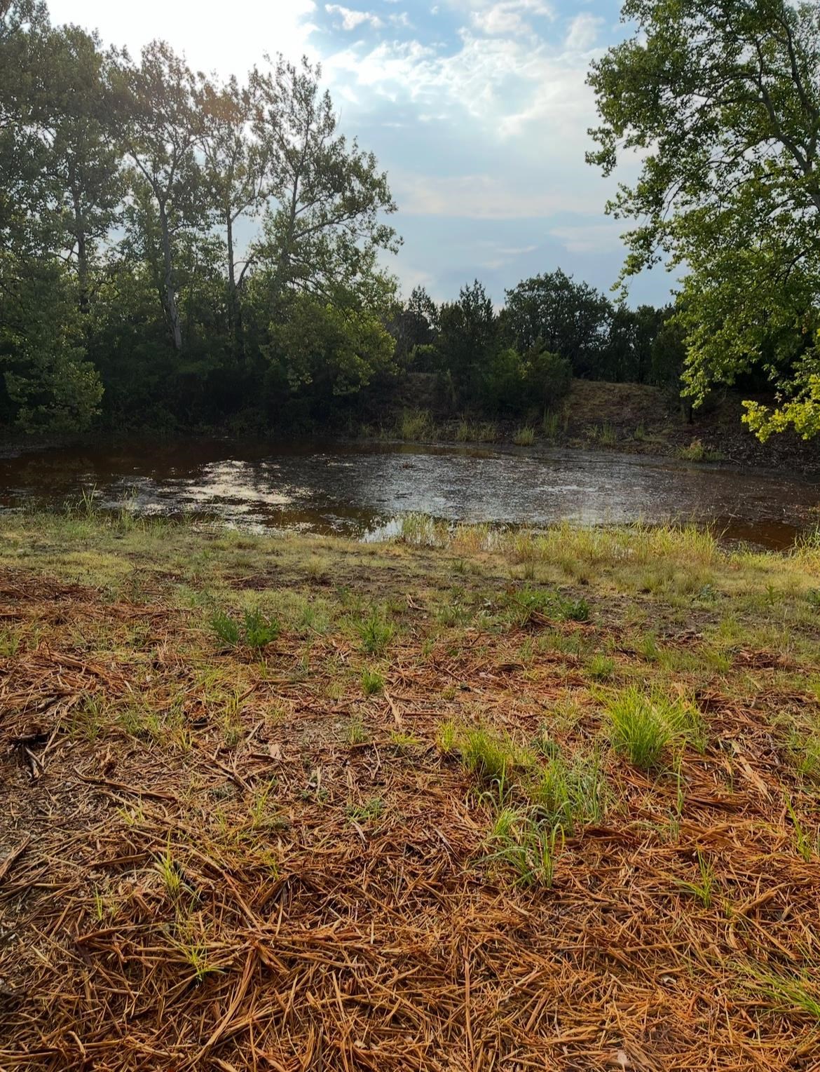 1170x1529