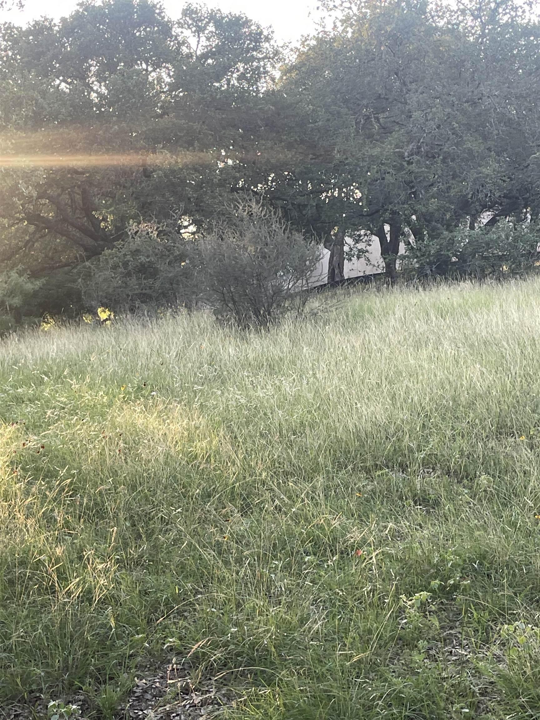 1728x2304