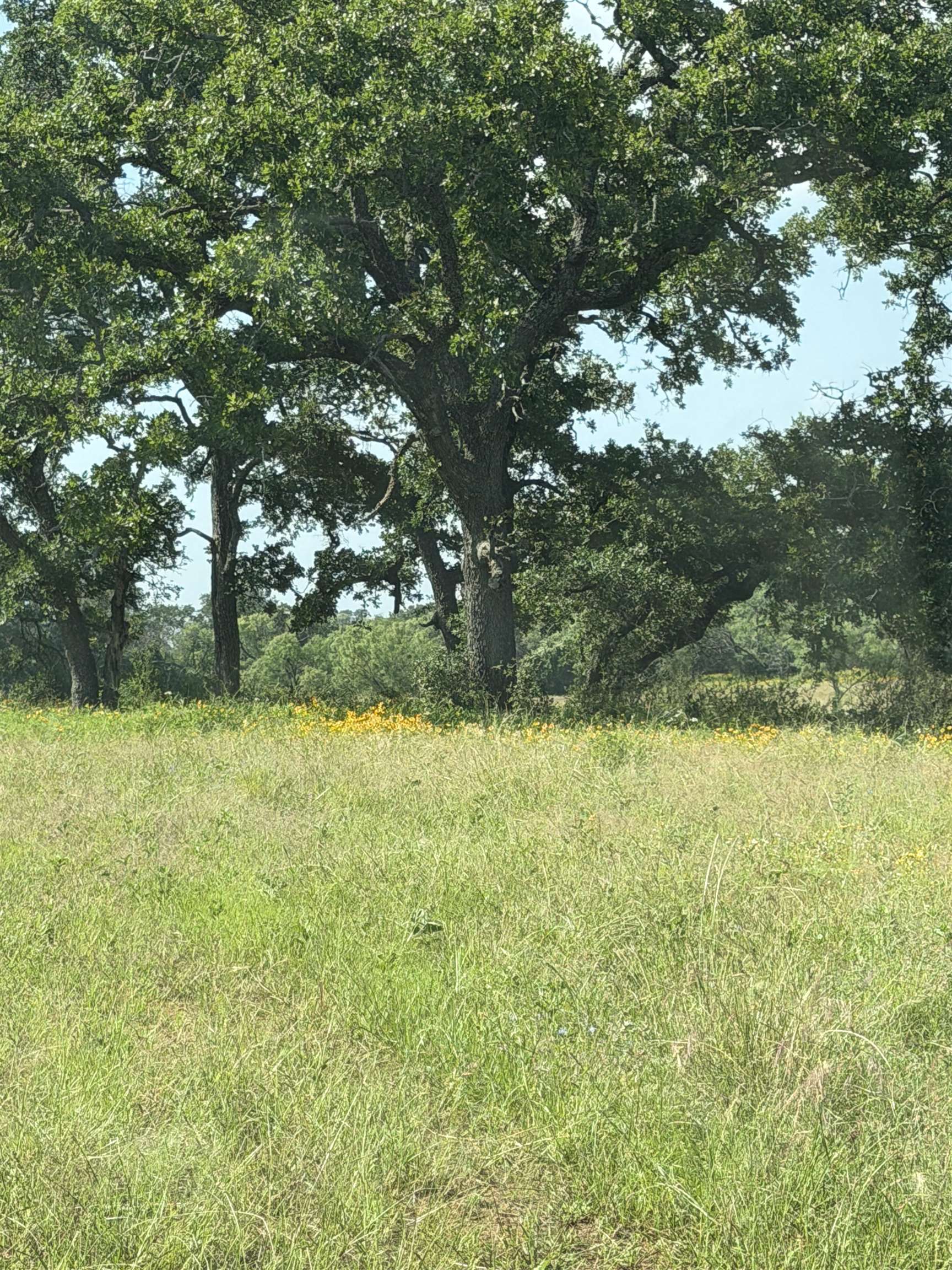 1728x2304